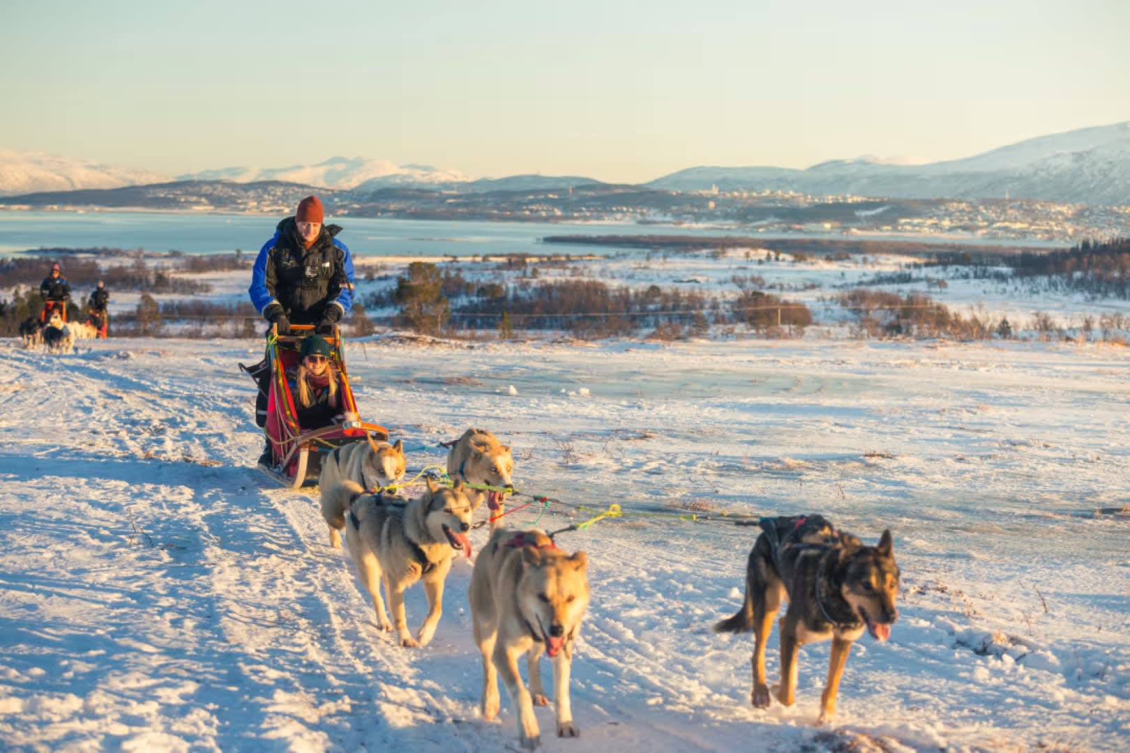 Dog sledding in Tromsø