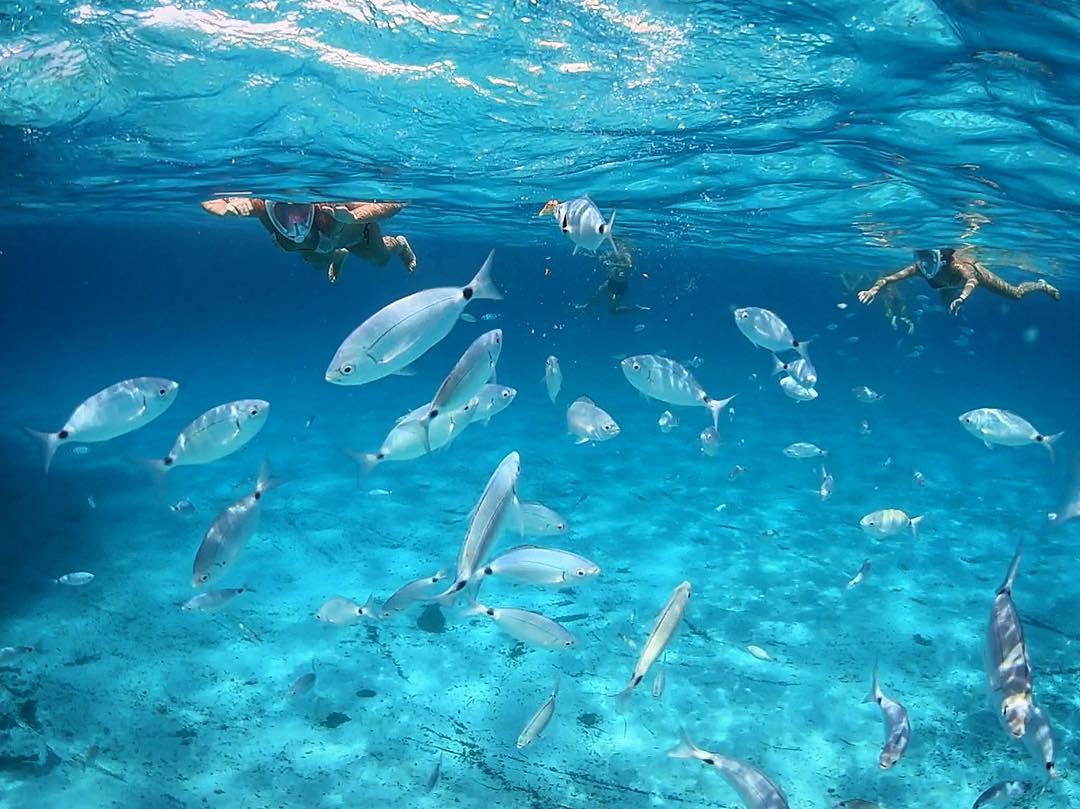 Snorkeling dans les îles Éoliennes