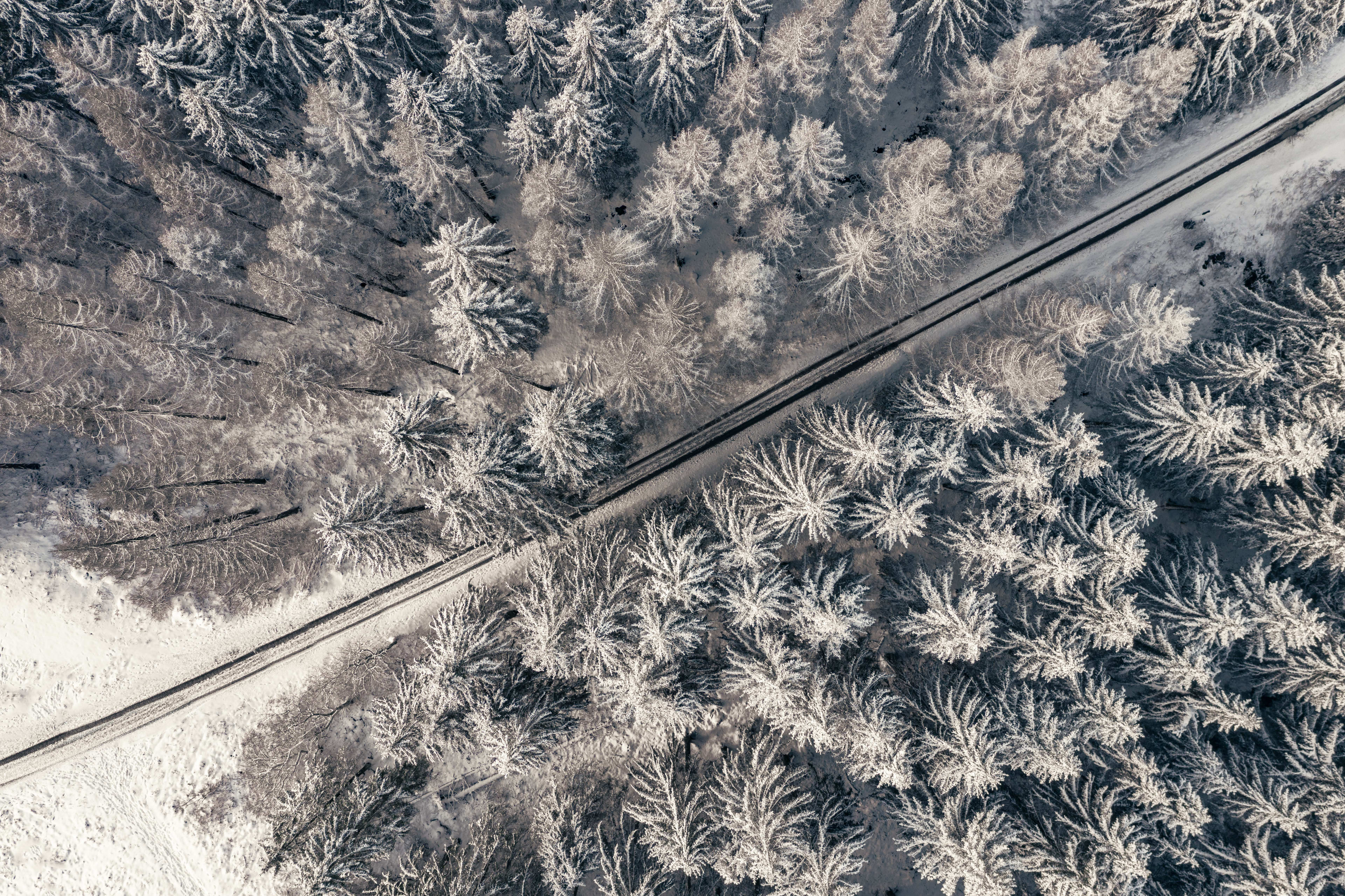 Línea de ferrocarril en Laponia