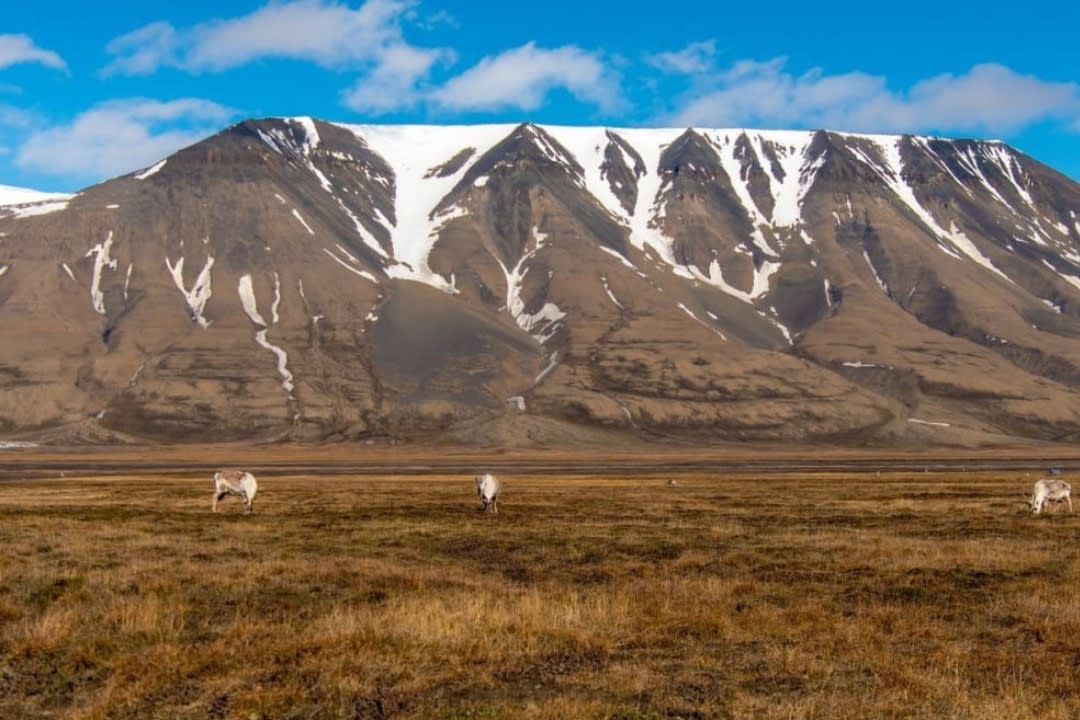 Quad Biking Adventure and Husky Kennel Visit from Longyearbyen in Svalbard