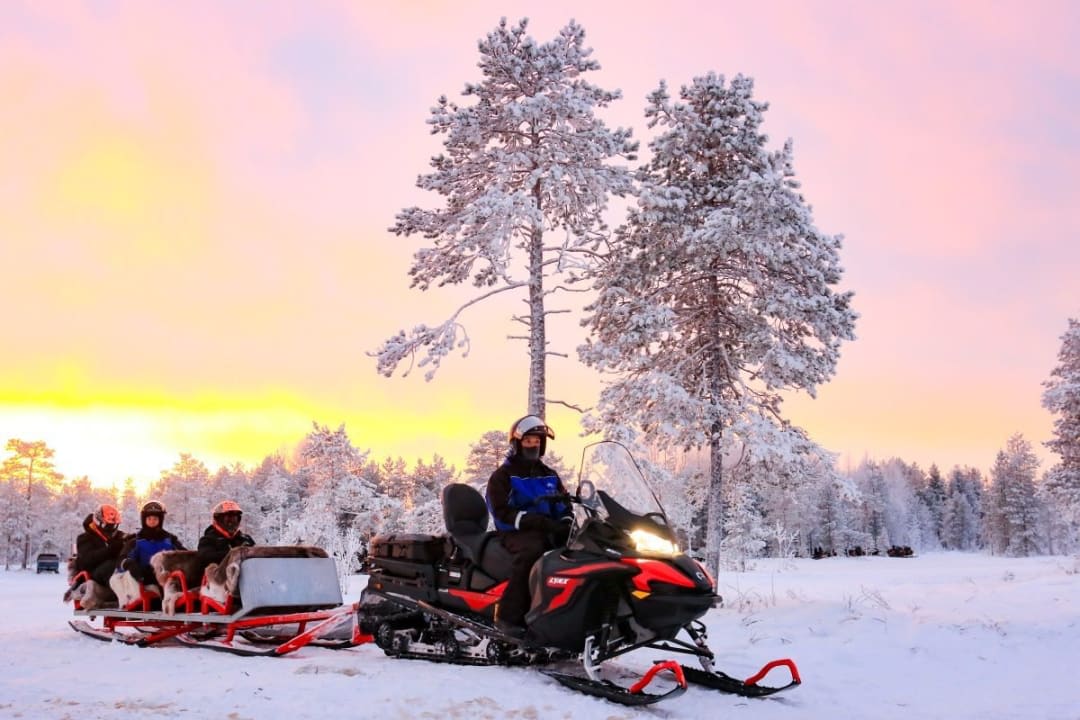 Evening Sledding Experience from Abisko