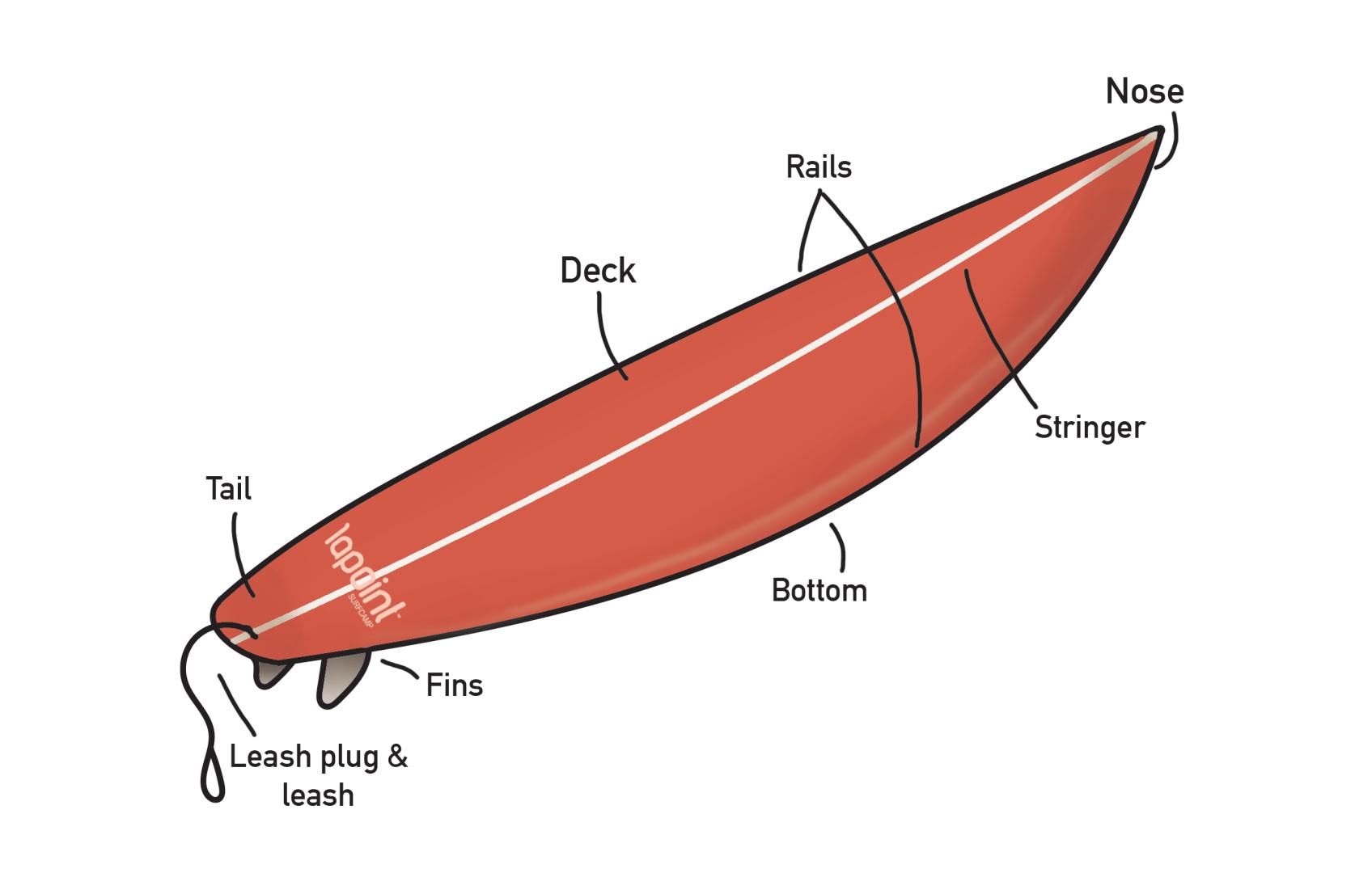 Parts of the surfboard 