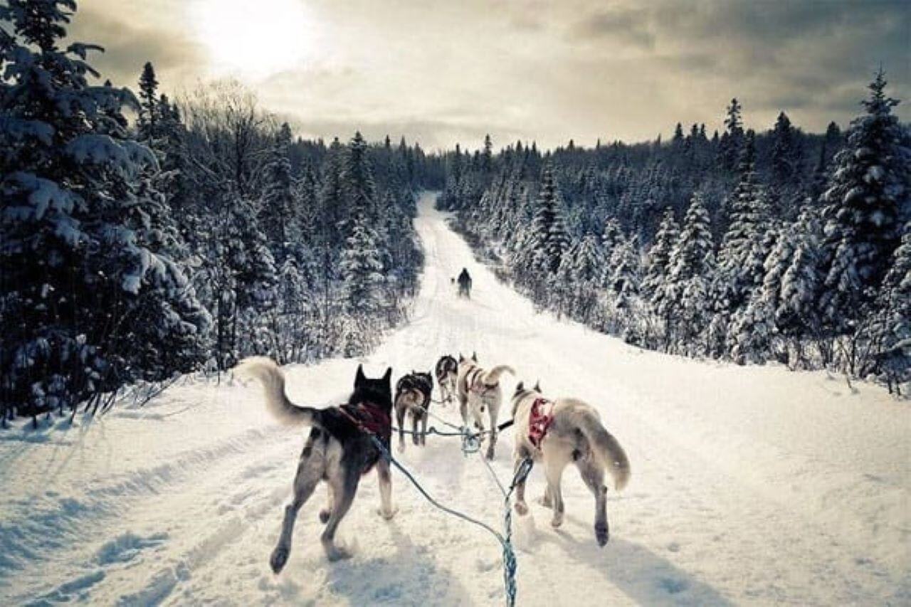 Entdecken Sie erhabene Winterlandschaften mit der Manawa Geschenkkarte!