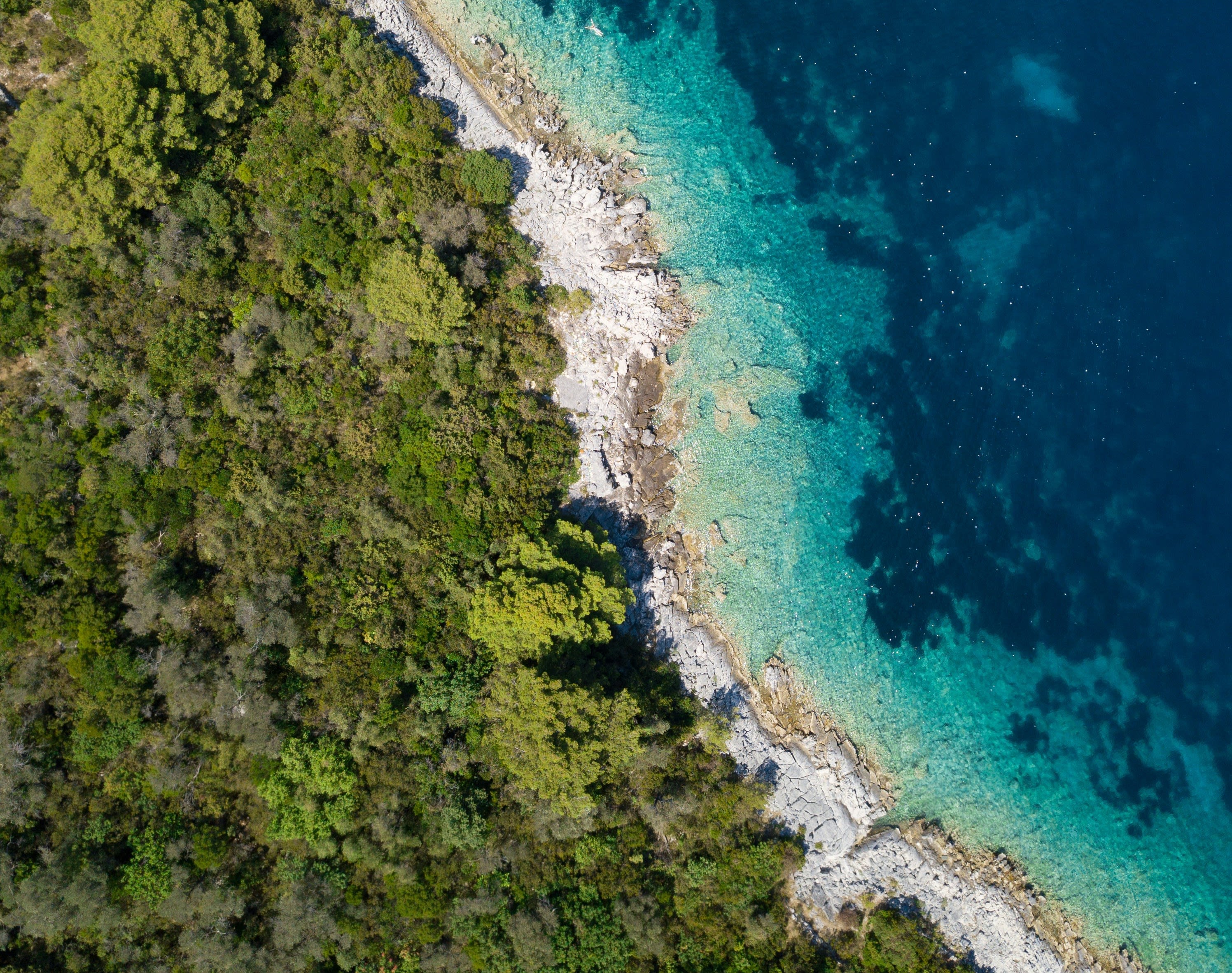 Les magnifiques plages d'Istrie