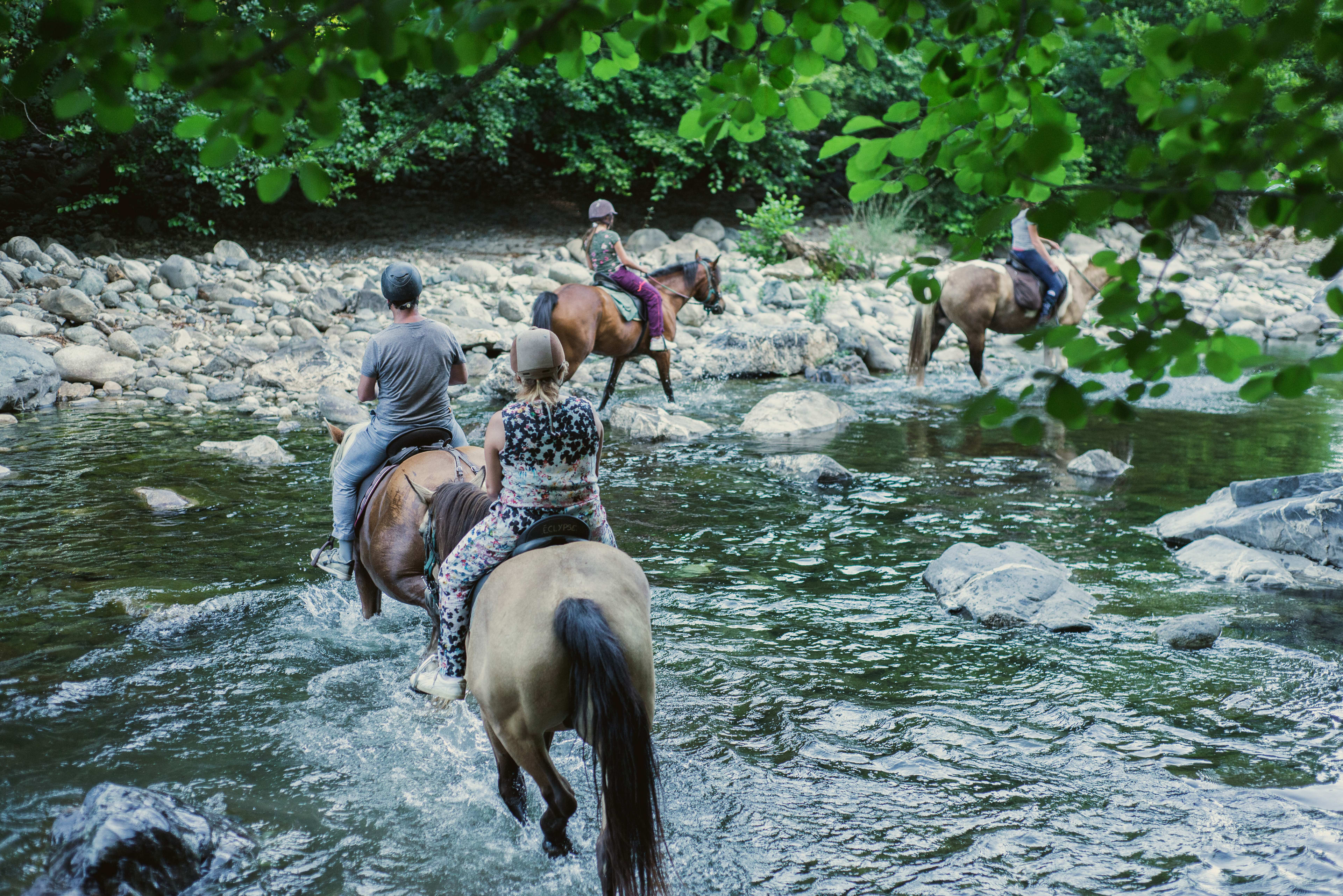 Discover Horseback Riding near the Cortenais valley, Corte