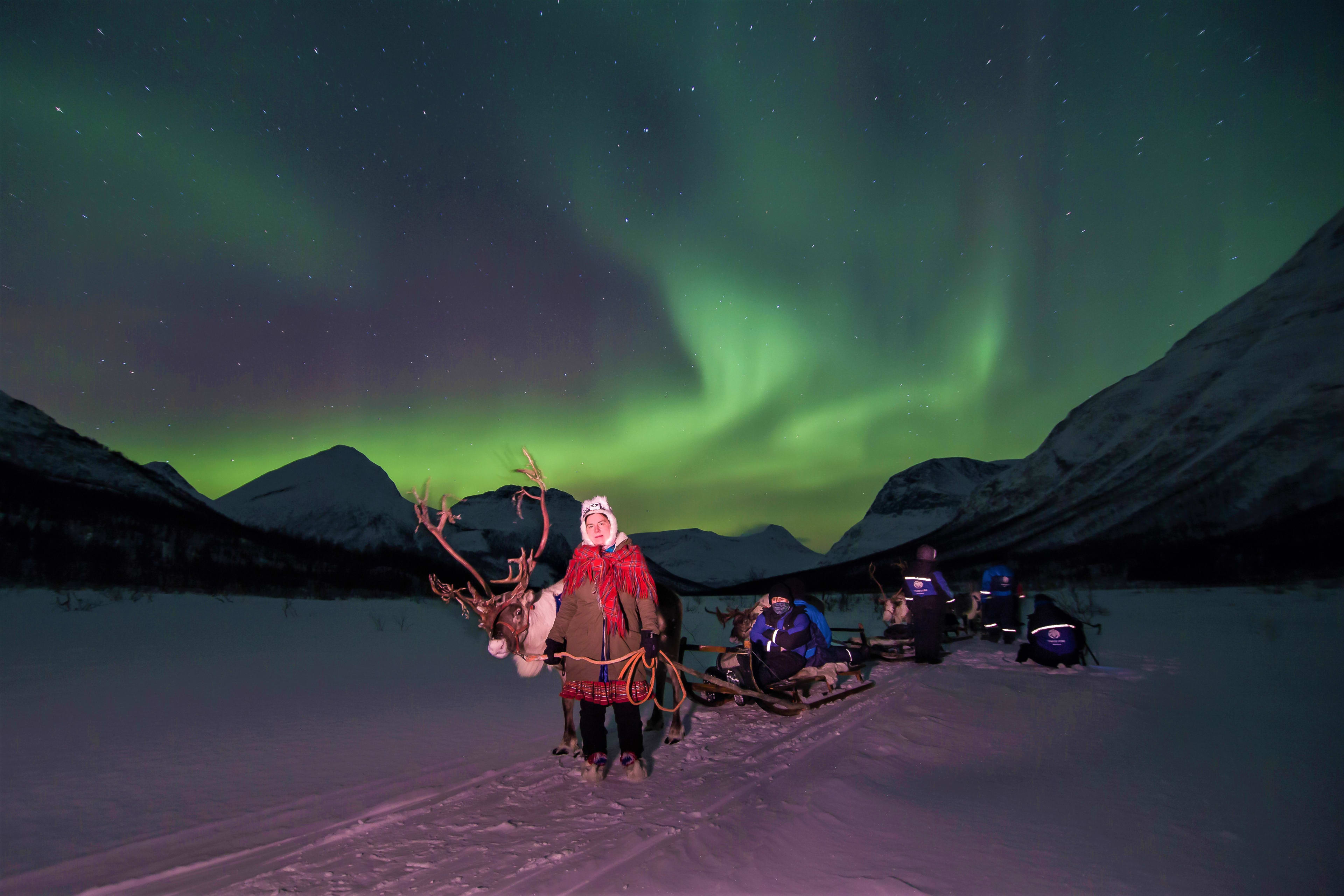 Excursion en traîneau à rennes sous les aurores boréales Tromsø