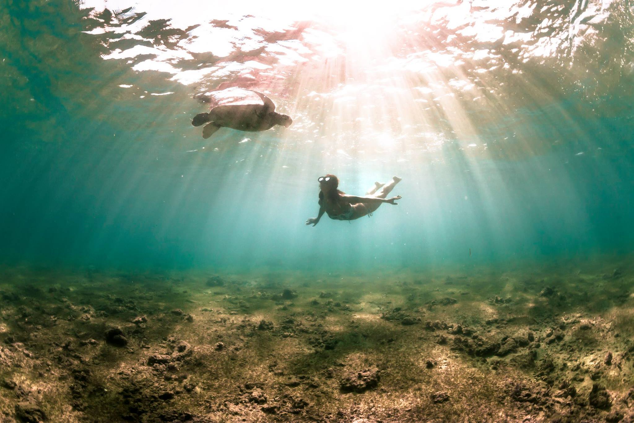 snorkelling with turtles at Taiarapu