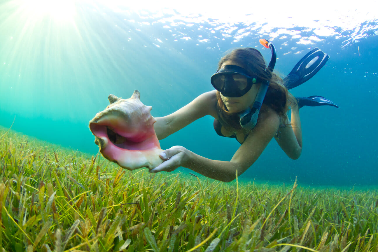 Buceo en la Riviera de Makarska