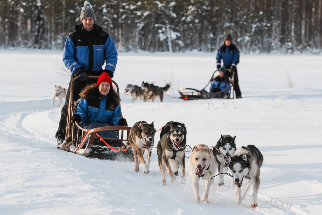 Beginner Self-drive Dog Sledding Safari in Saariselkä