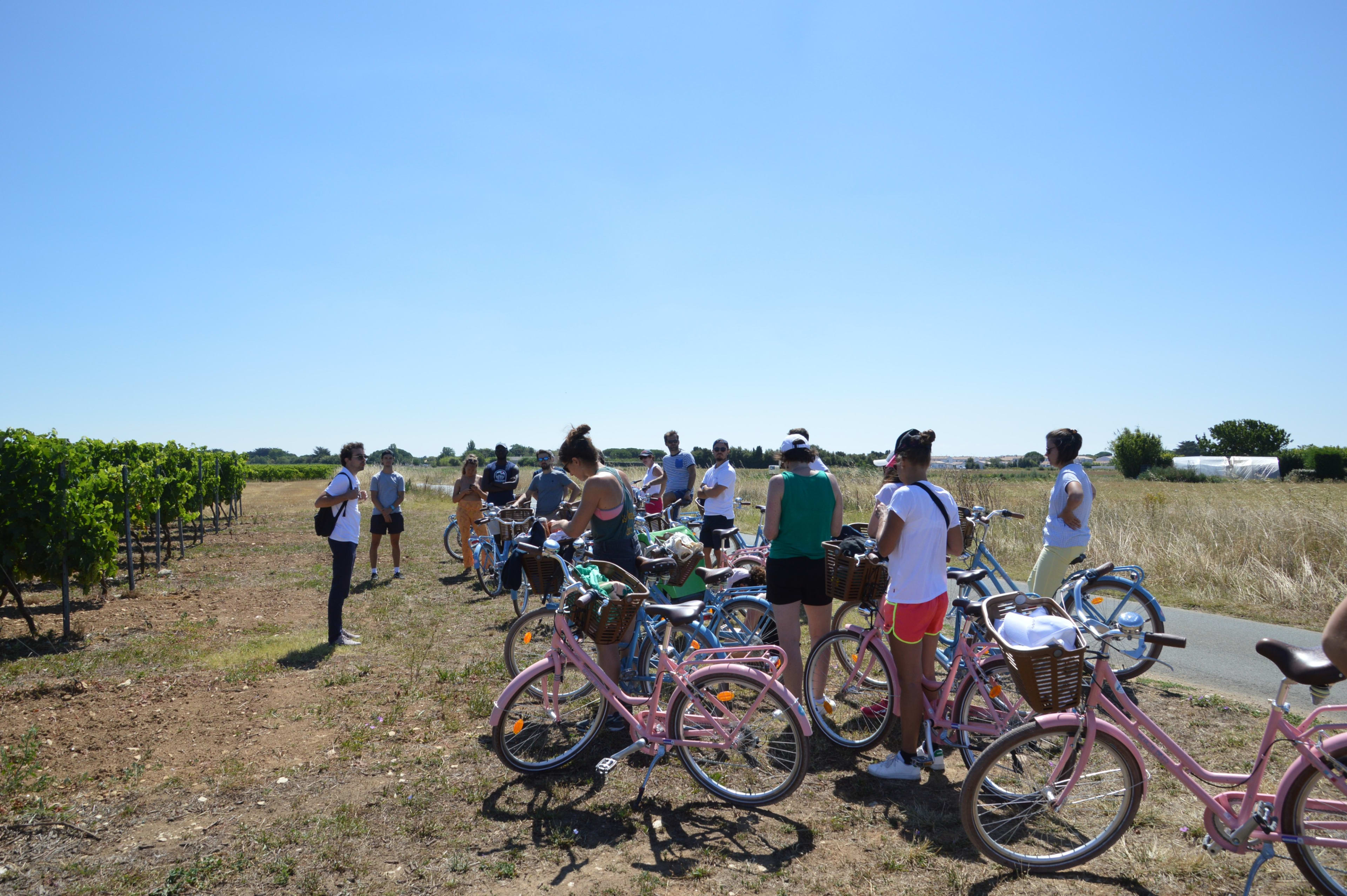 Groupe qui réalise une randonnée guidée à vélo