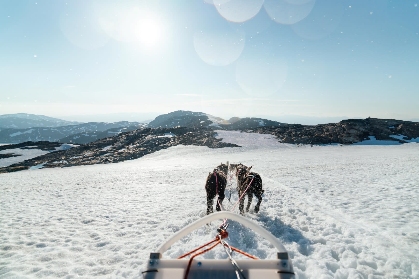 dog sledding in Tromsø