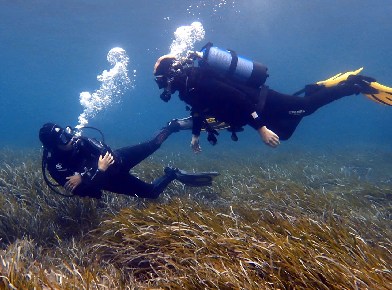 Scuba diving in Bugibba