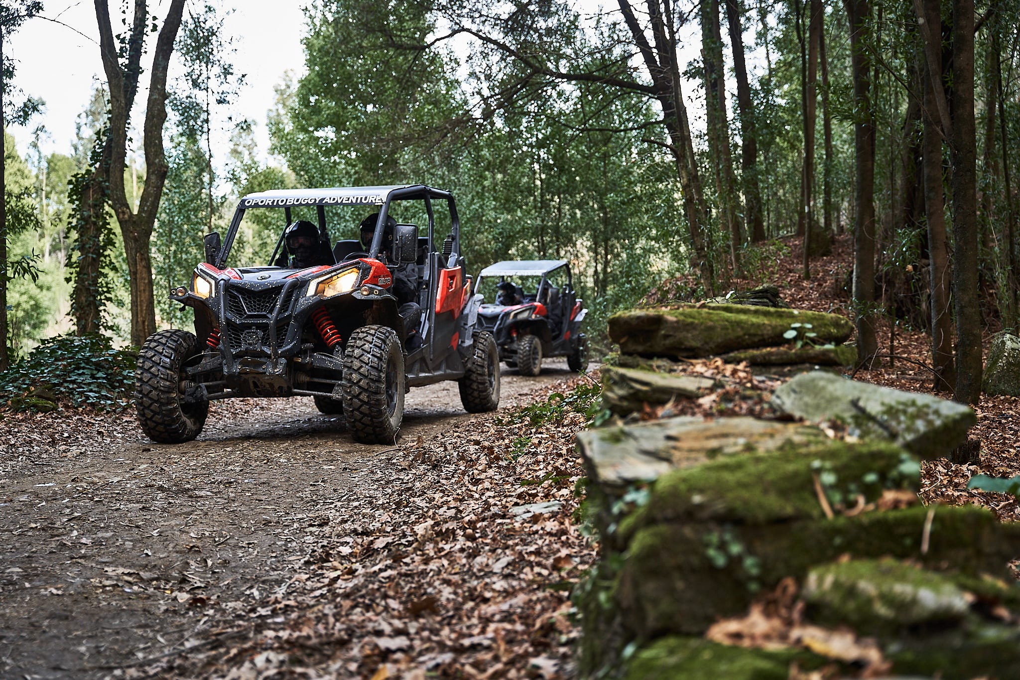 Excursión en buggy desde Oporto