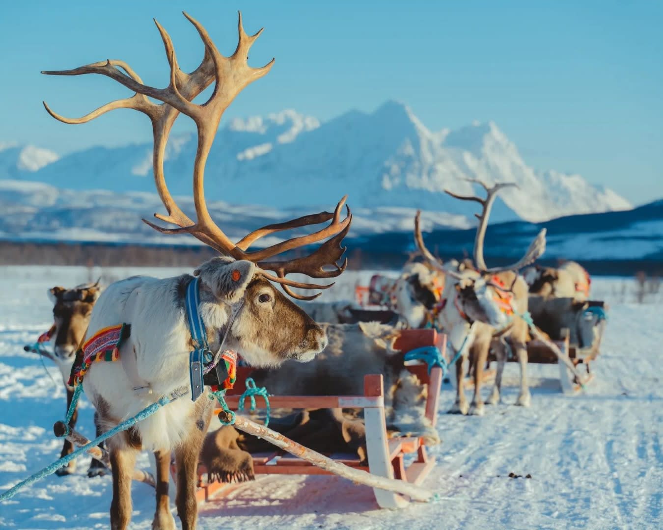 Pernoctaciones en Tromsø