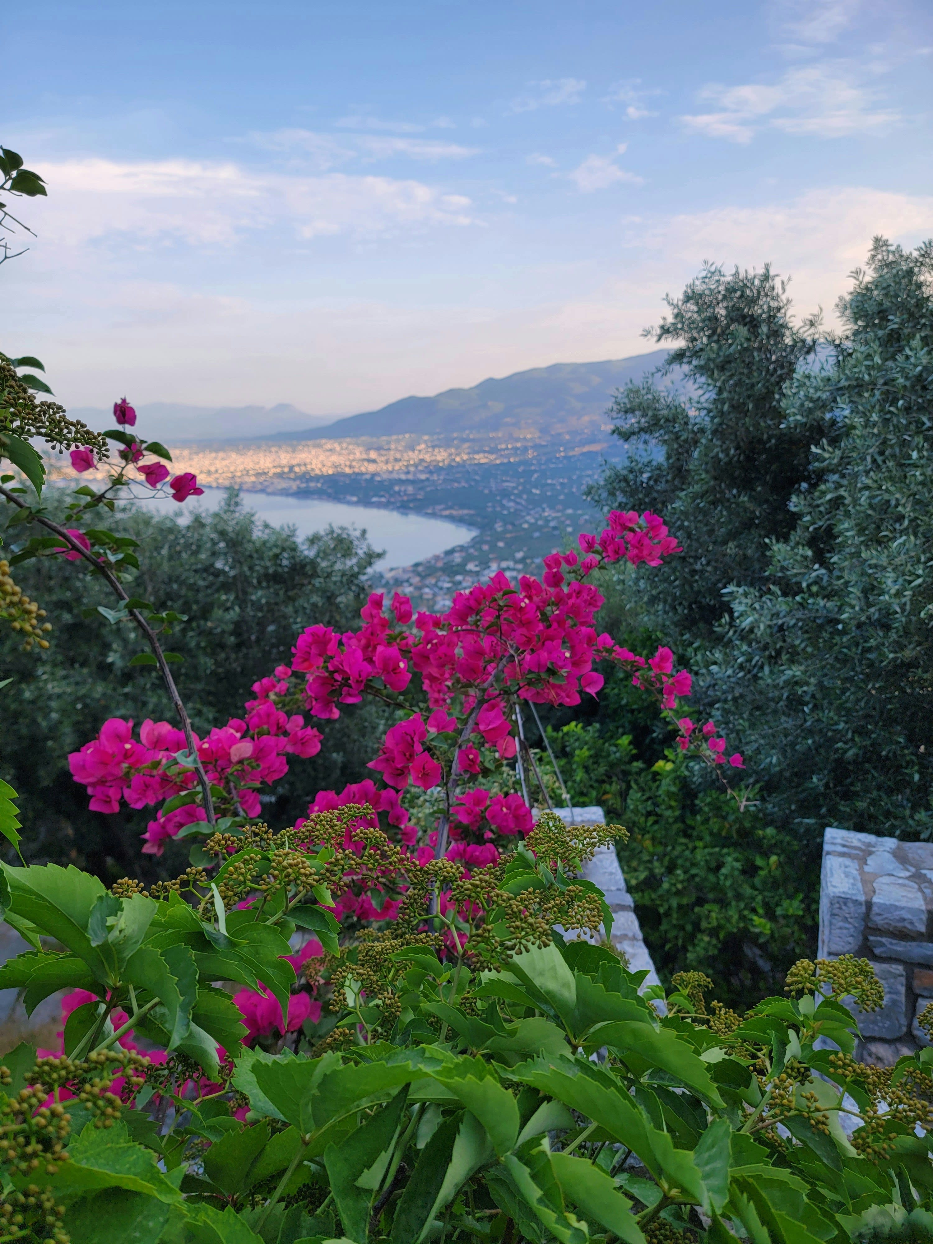 Kalamata