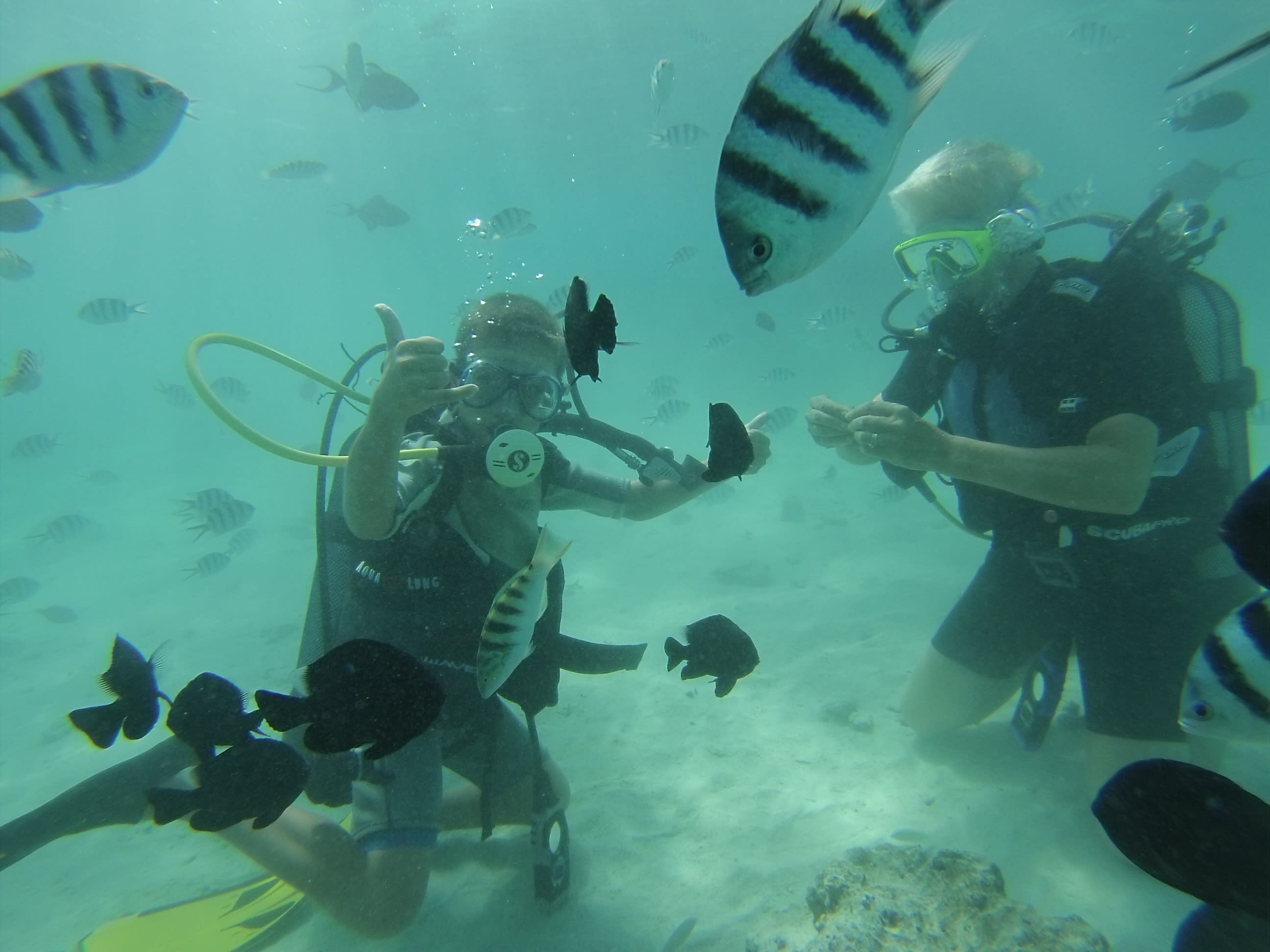 Première plongée sous-marine à Moorea
