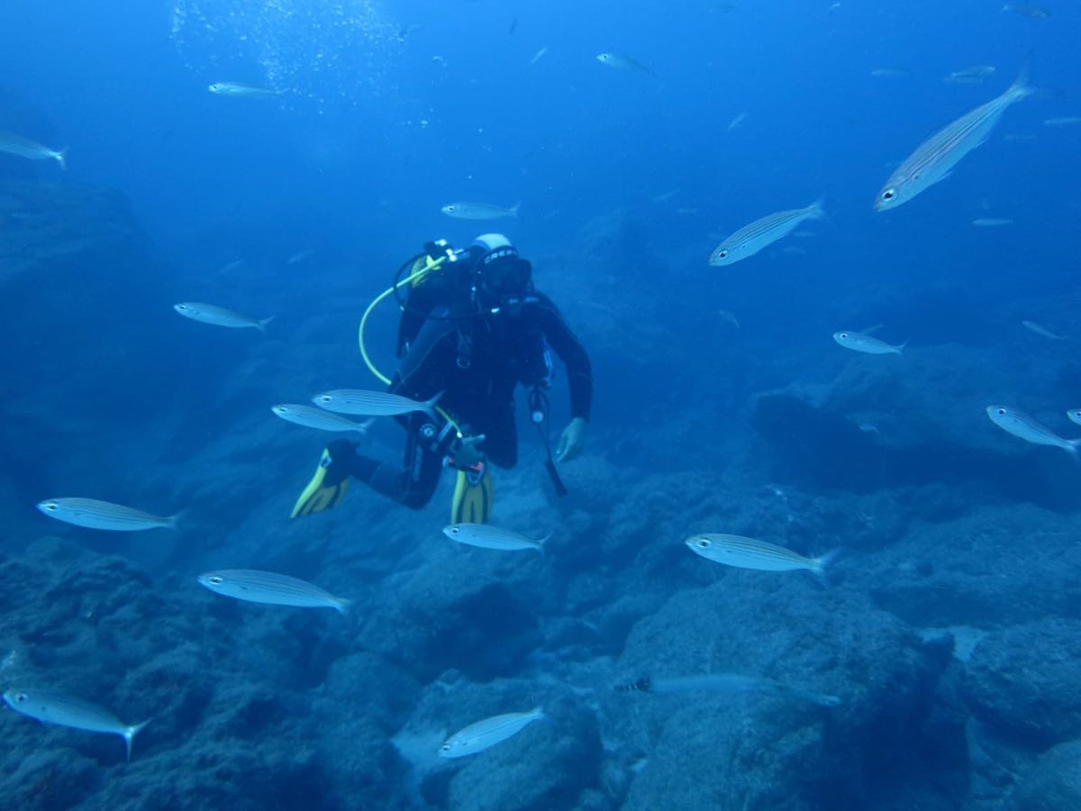 Diving baptism in Dénia