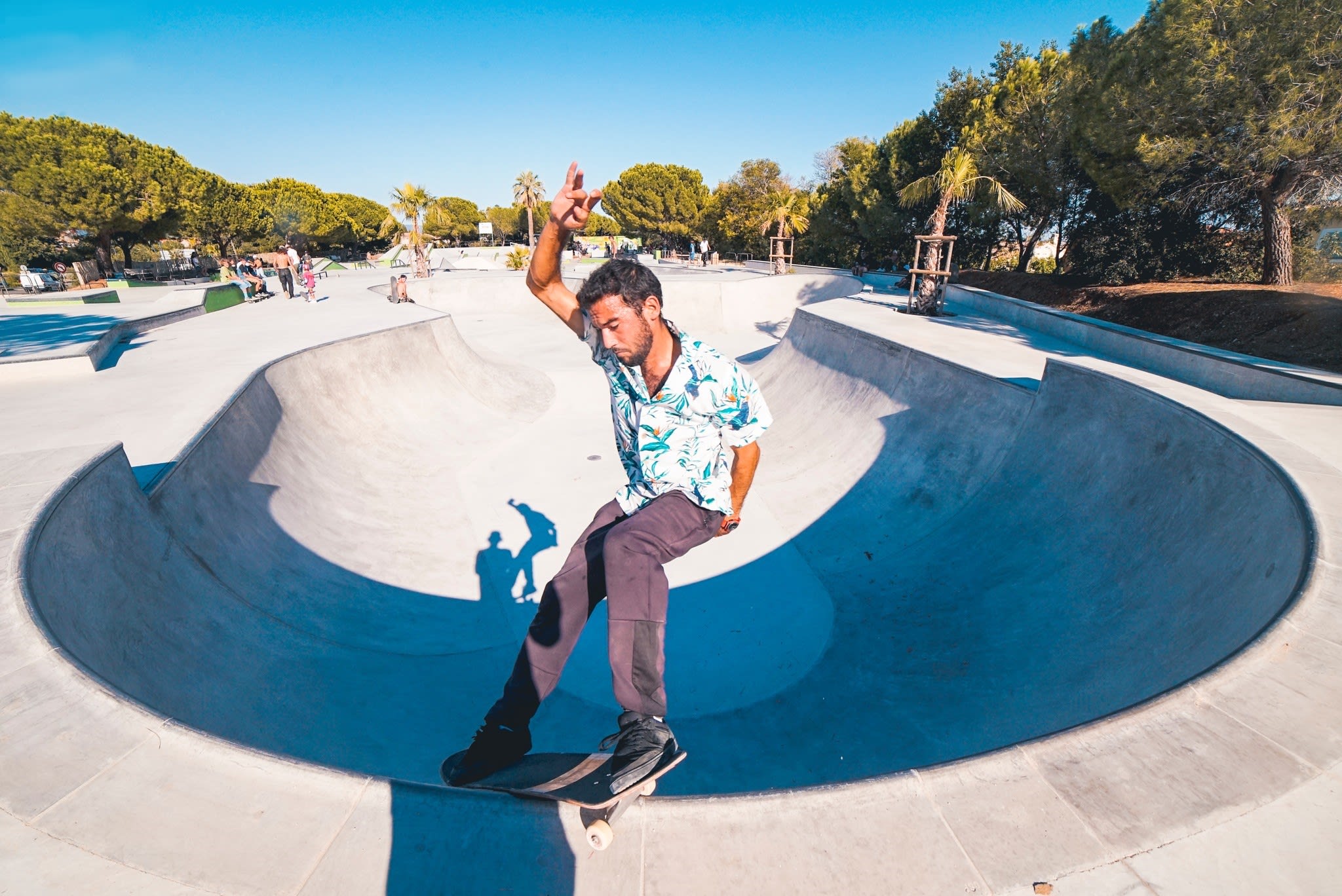 skateboarding in a bowl (park)