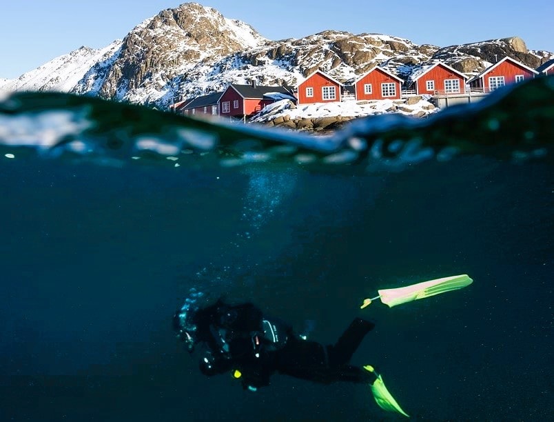 Scuba Dive in the Lofoten Archipelago