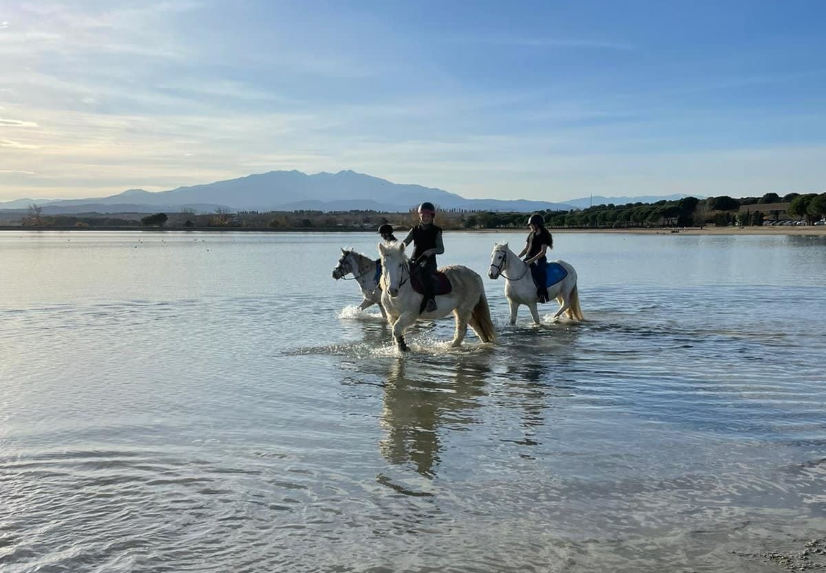 Equitación; montar a caballo