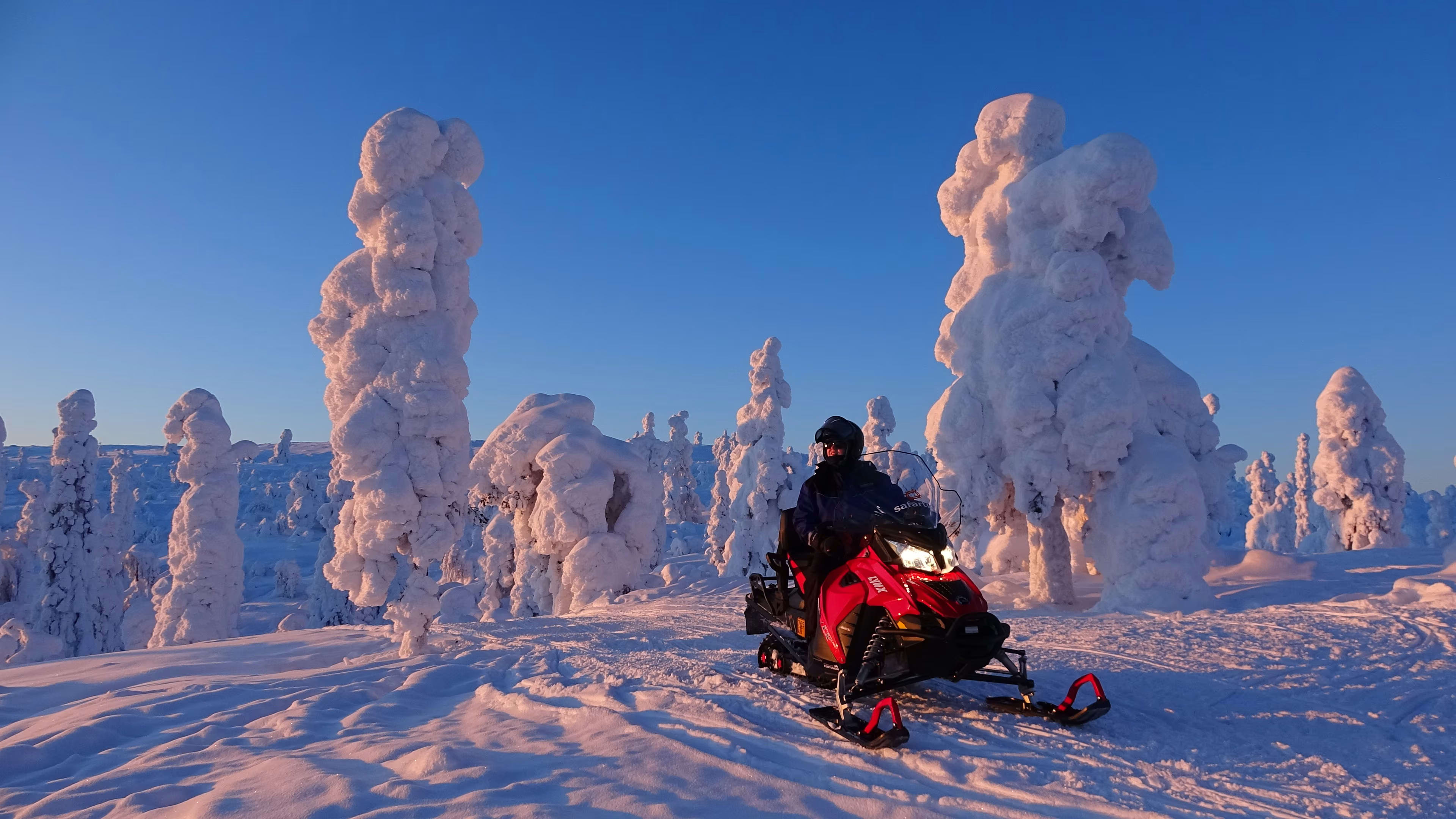 Schneemobilfahren in Ylläs