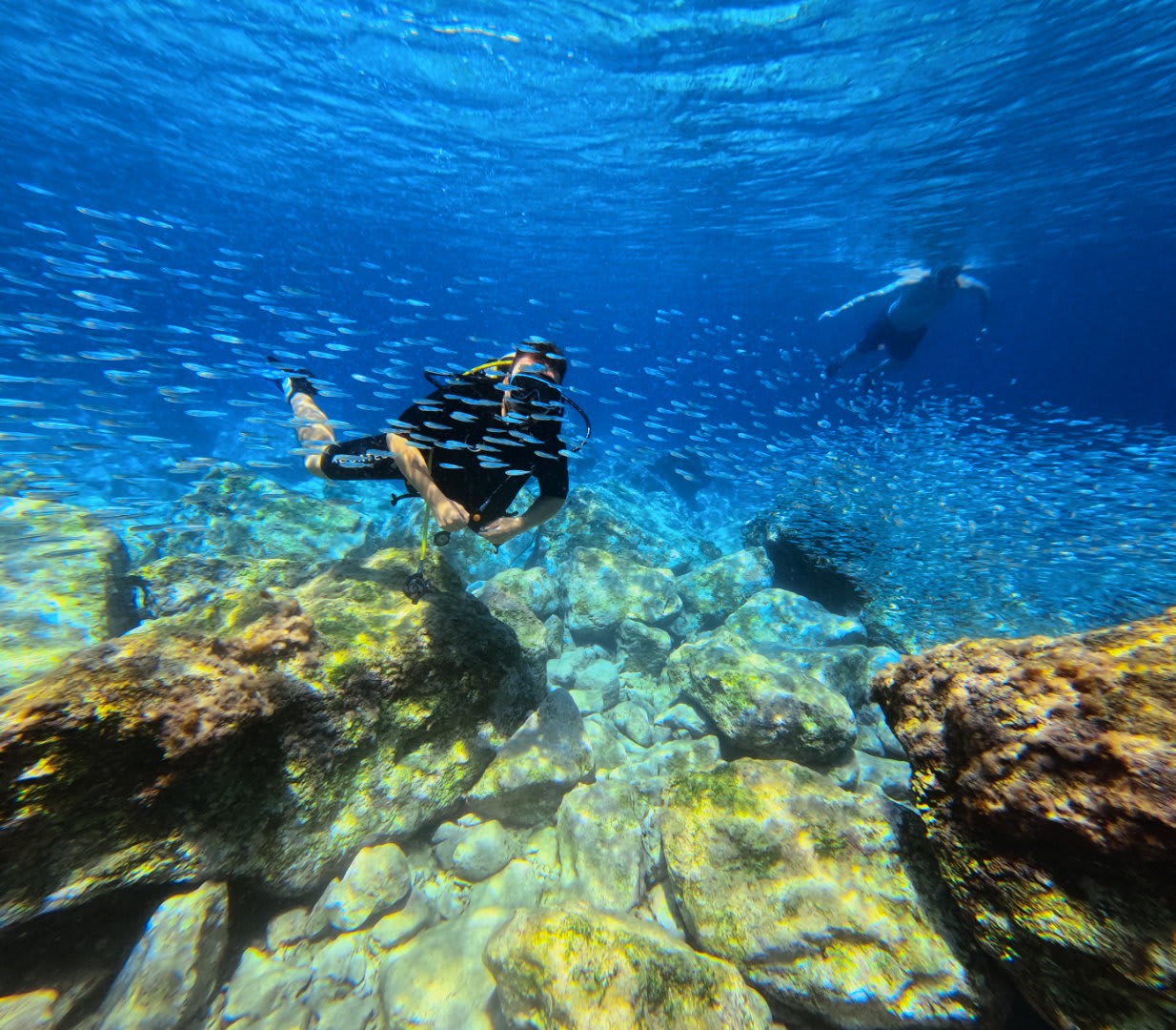 Plongée sous-marine à partir d'Almyrida près de La Canée