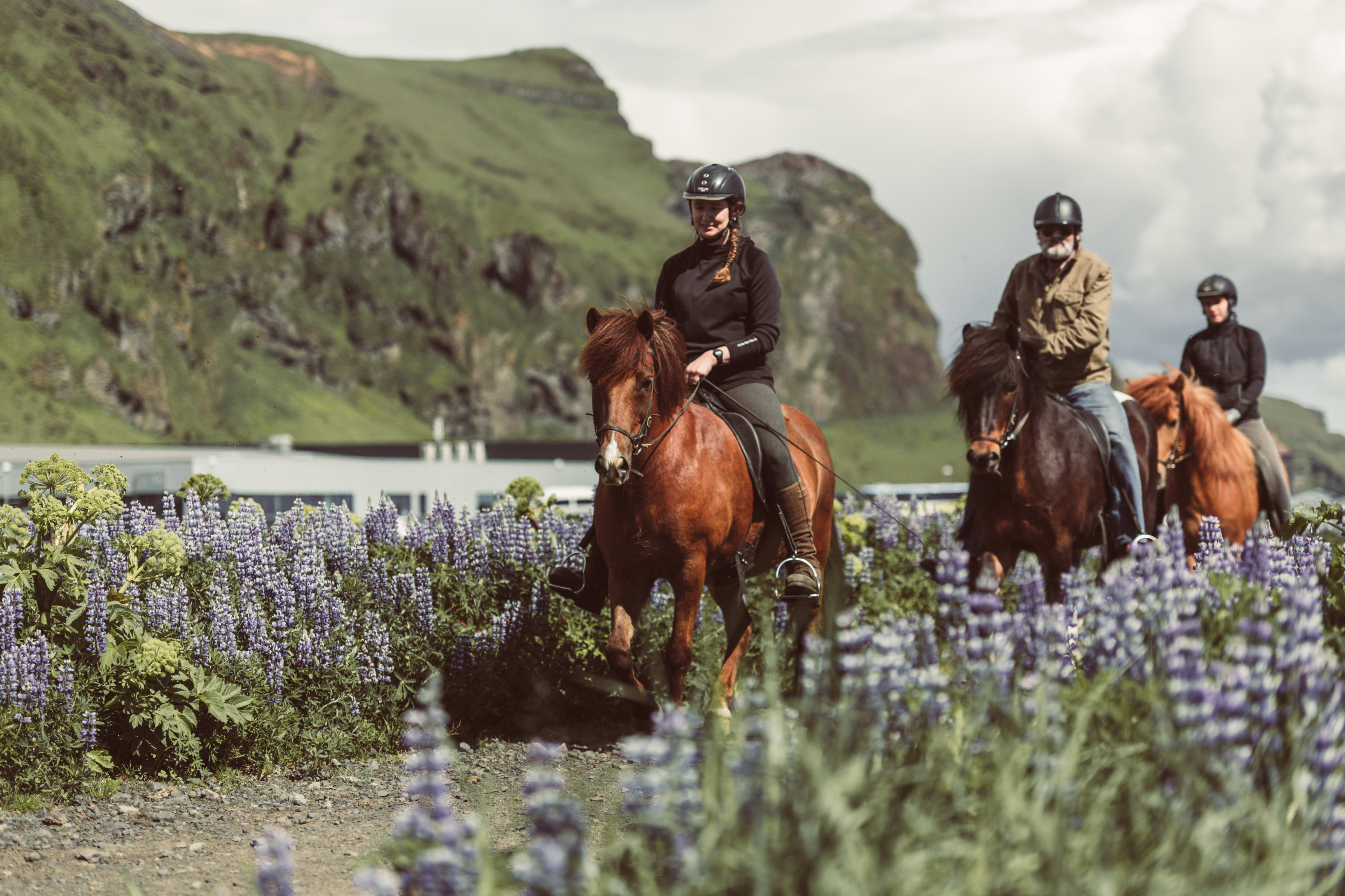 Horseback Riding