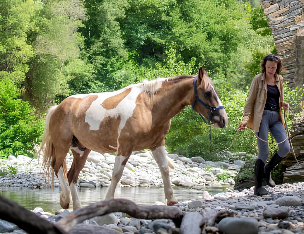 Balade à cheval sur les rives du fleuve Tavignanu, Corte