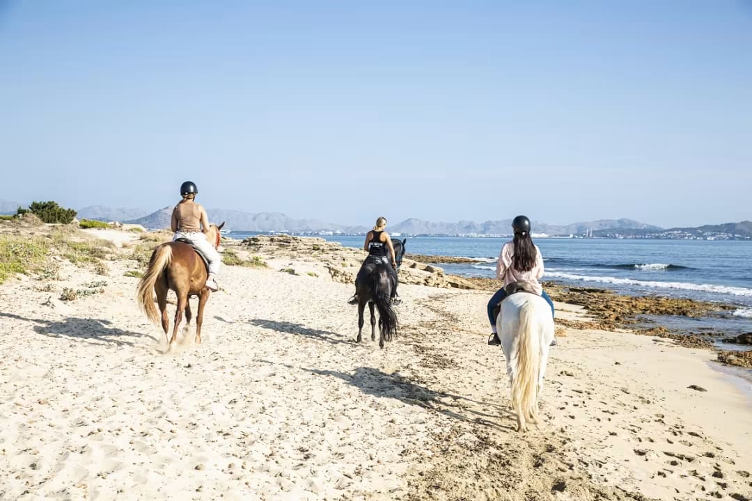 Balade à cheval sur la plage