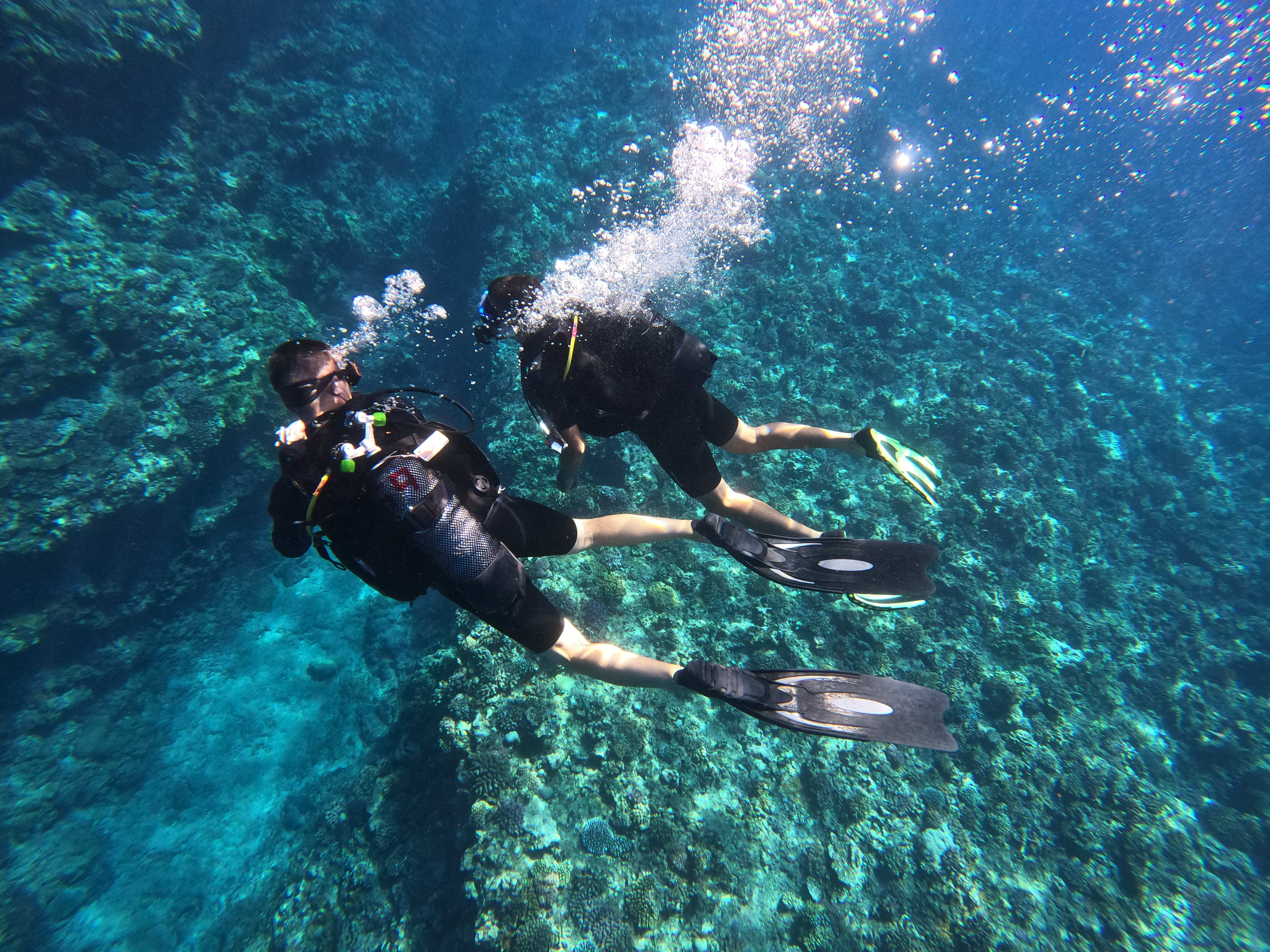 First Dive in Saint-Leu Bay, Reunion Island