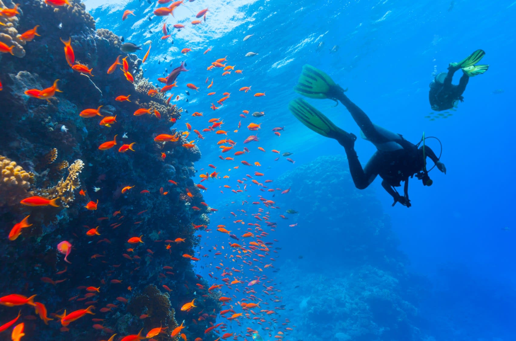 scuba diving in Réunion