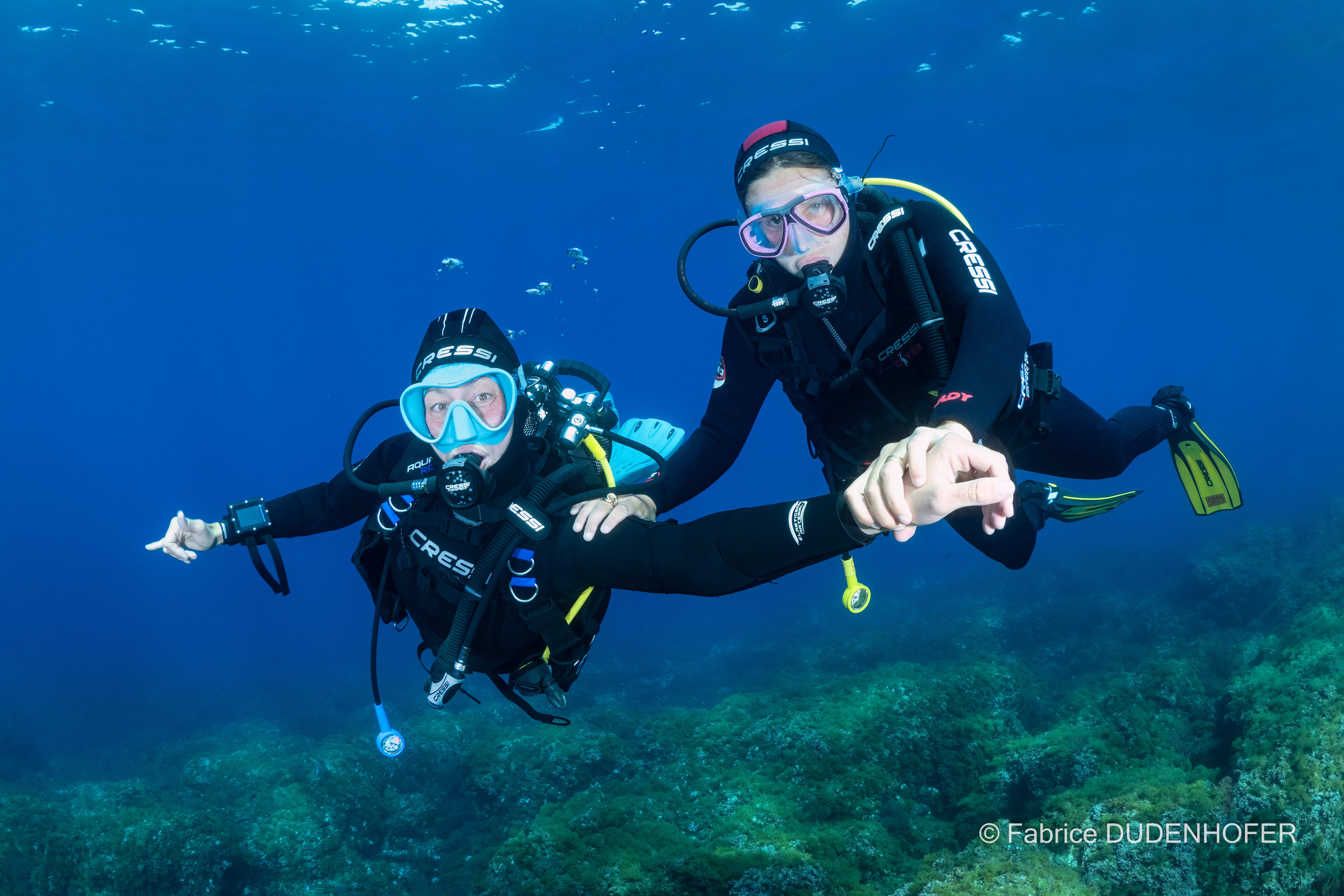 Plongée sous-marine dans la Méditerranée à Marseille