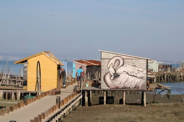 Comporta