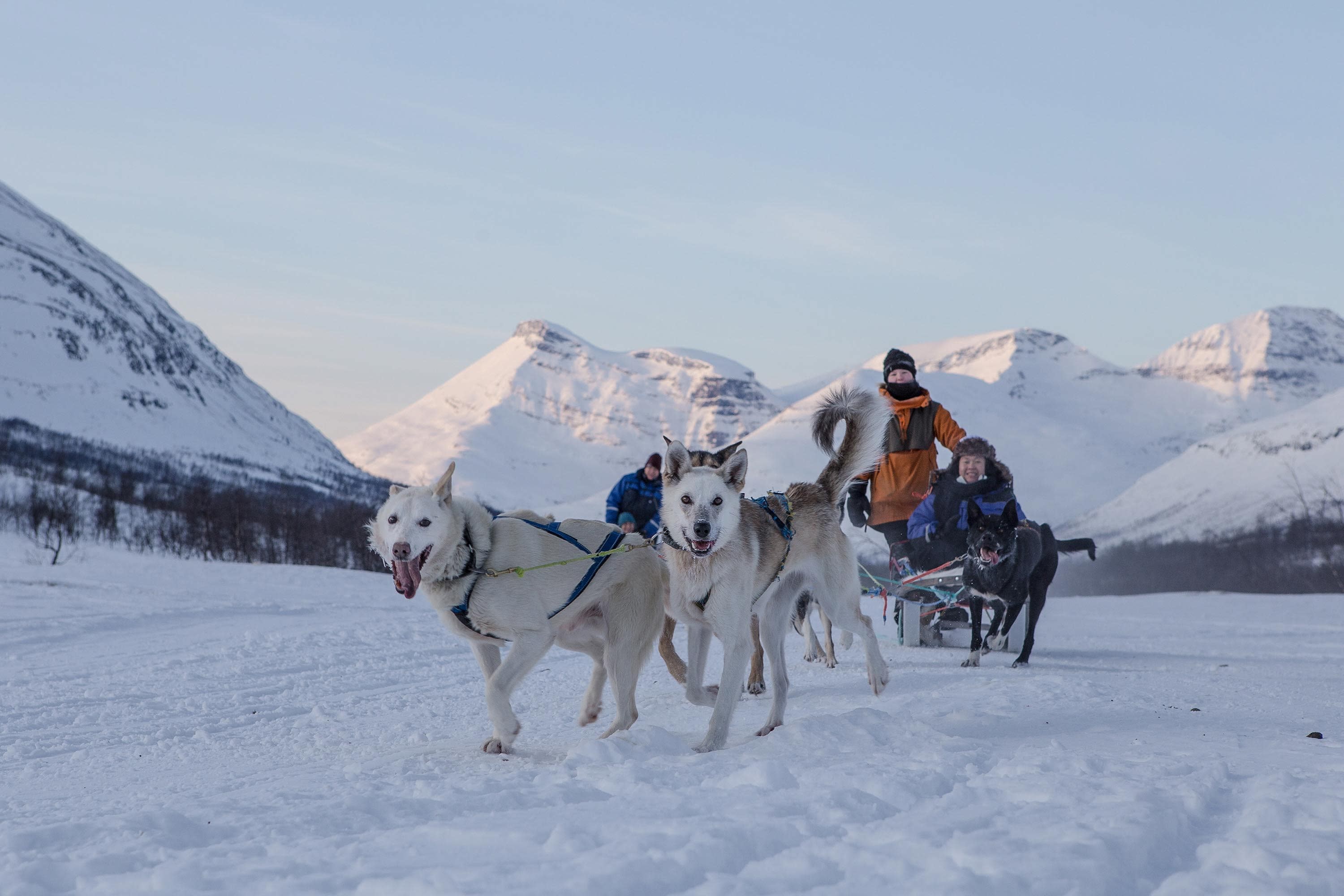 trineos tirados por perros tromso