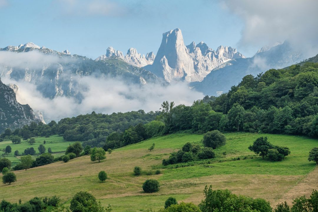 Picos de Europa