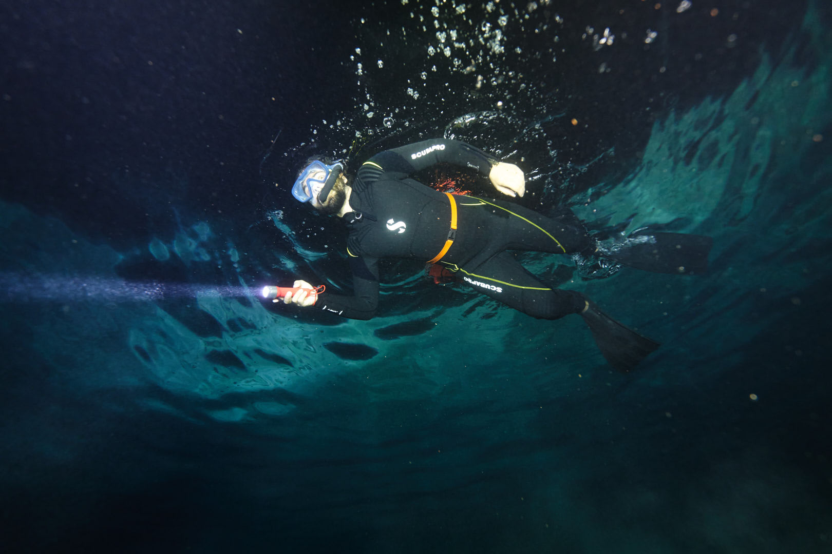 Excursion nocturne de snorkeling à Moorea