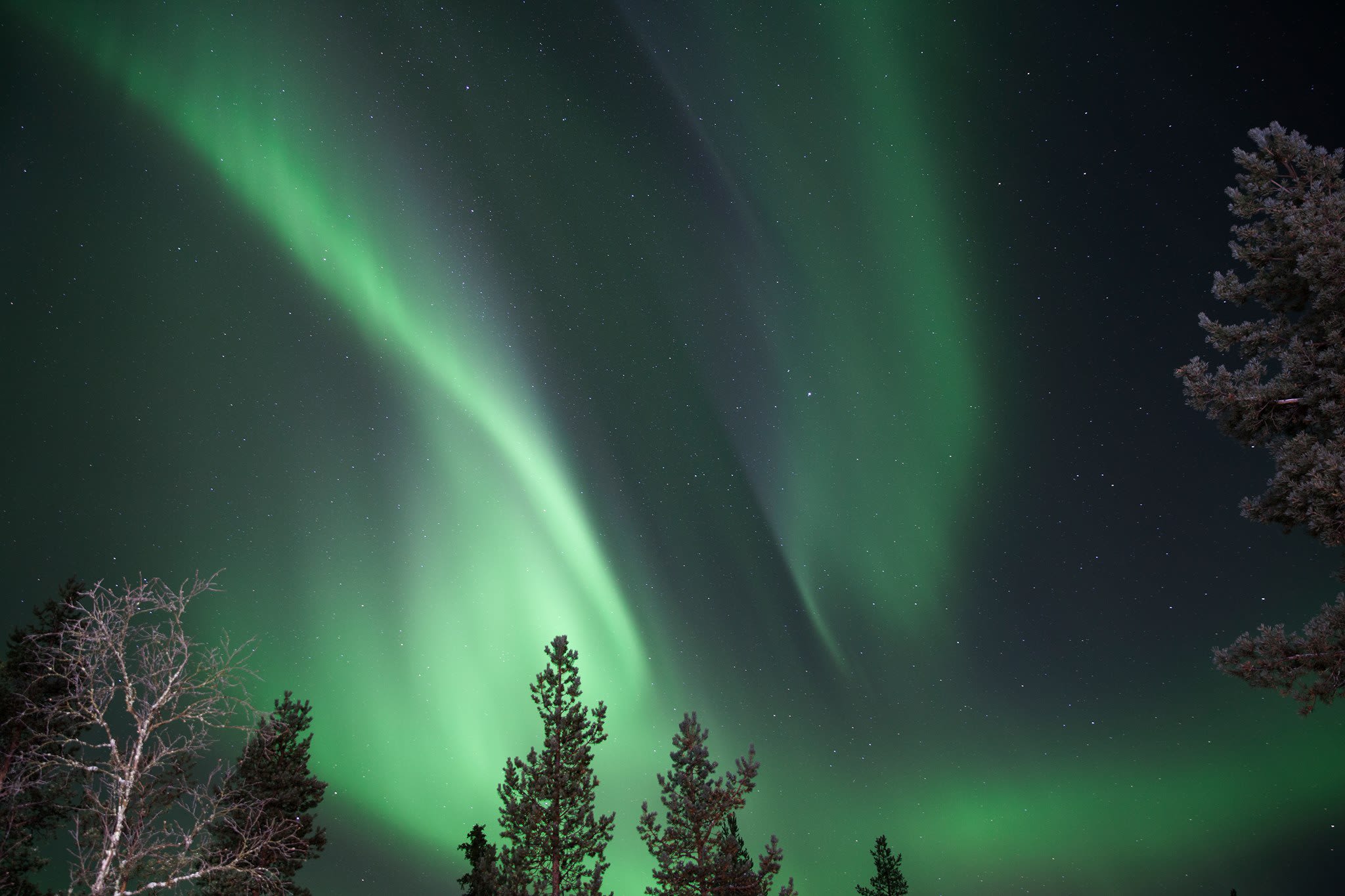 aurora boreal-saariselka