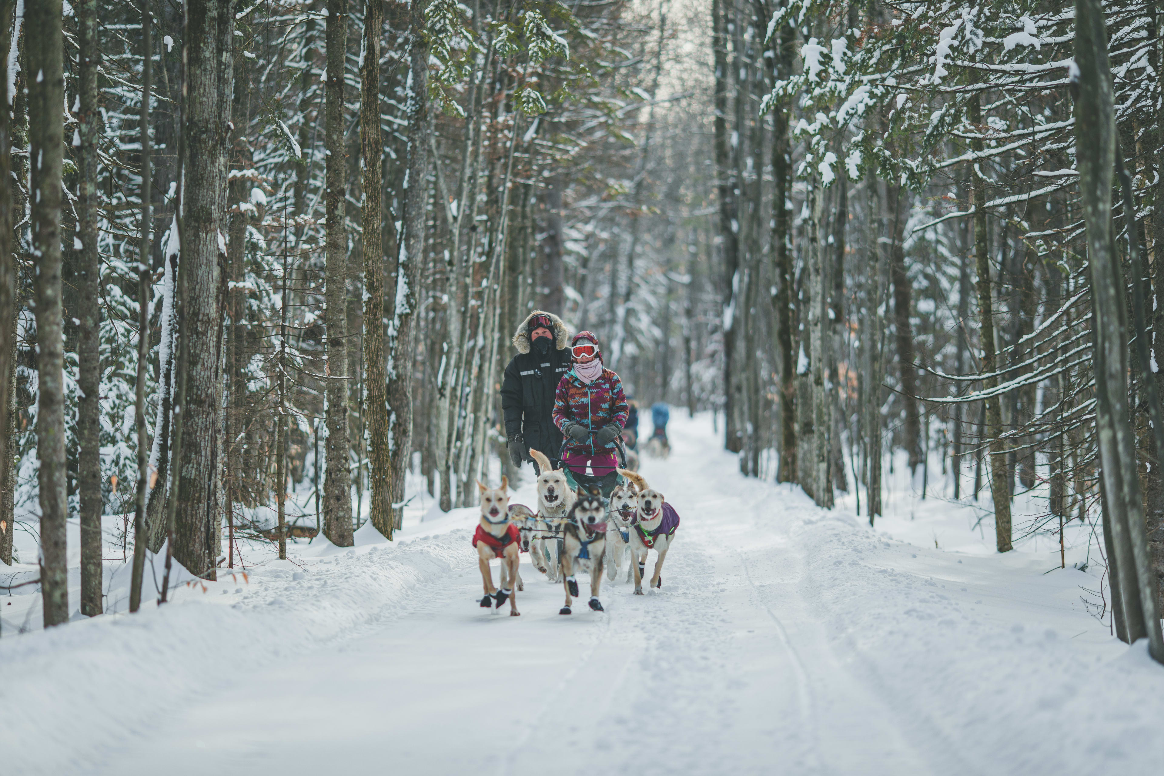 Gehen Sie an Bord eines Schlittens und erleben Sie das überraschende Gefühl, auf Schnee zu gleiten!