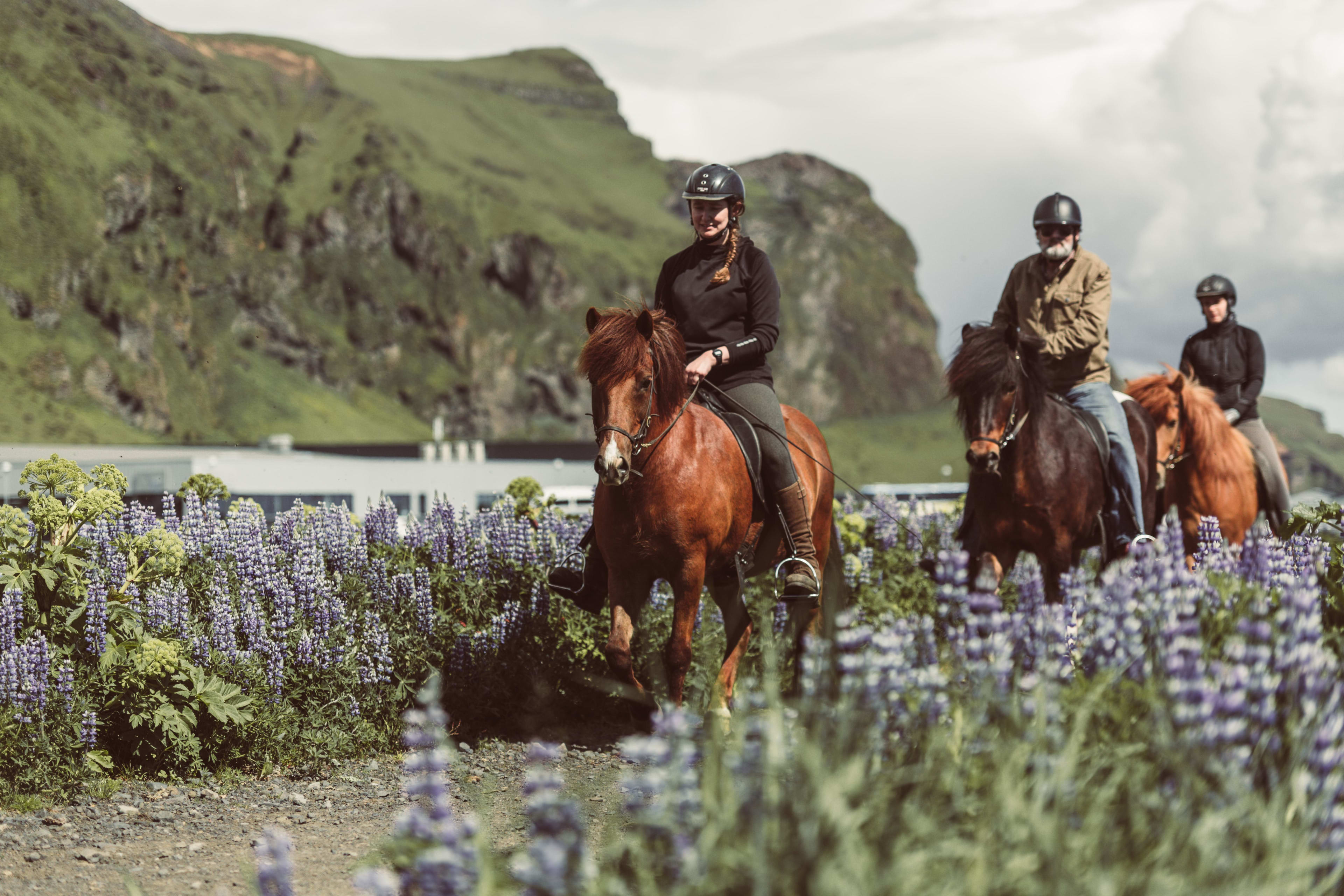 Reiten am schwarzen Sandstrand im Süden Islands von Vík í Mýrdal aus