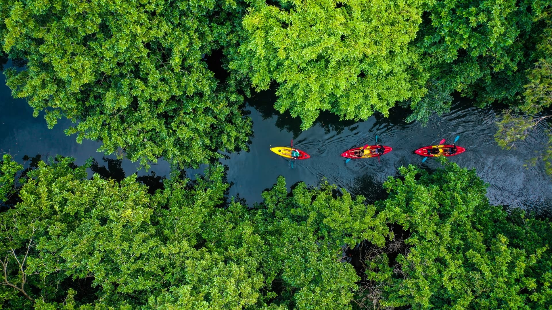 Kayak Mauricio