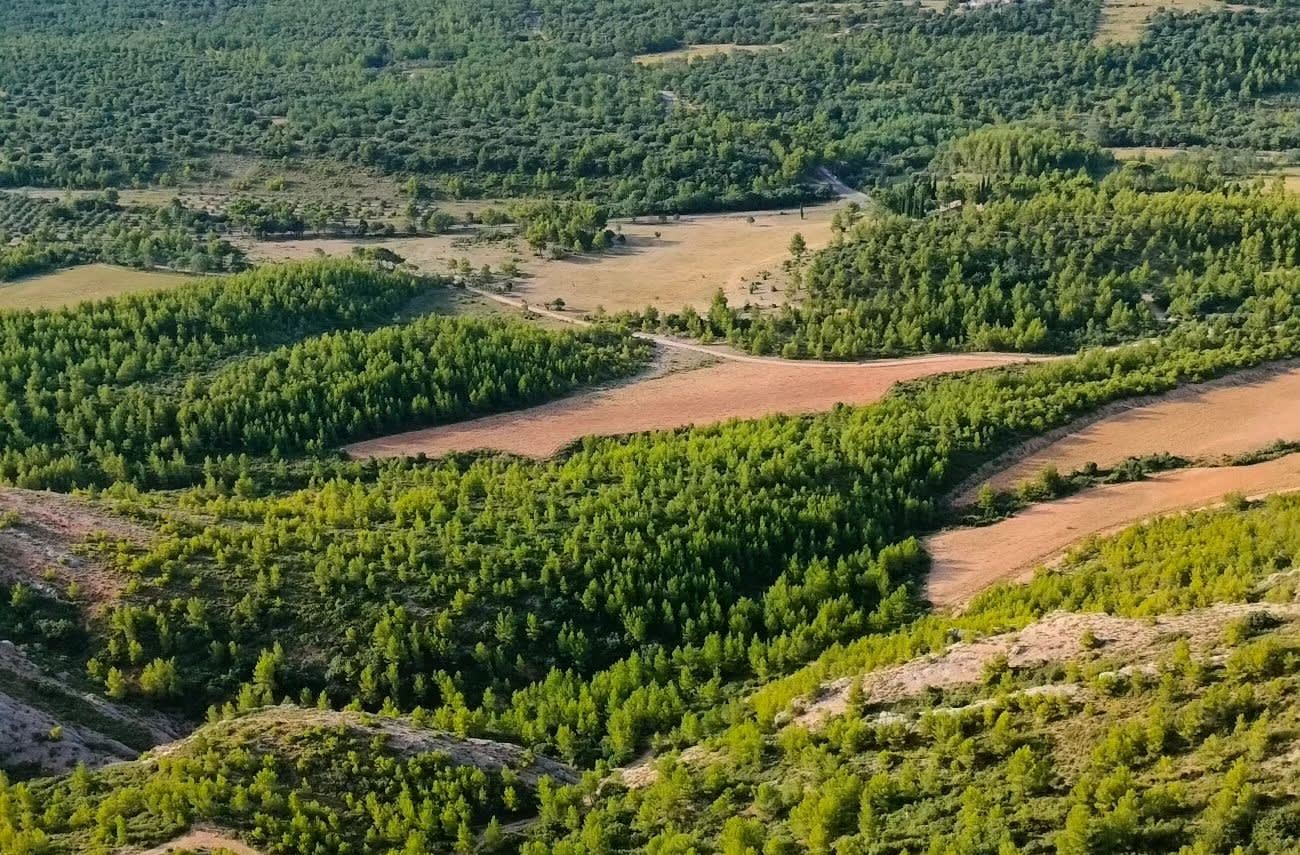 Brignoles, Grüne Provence