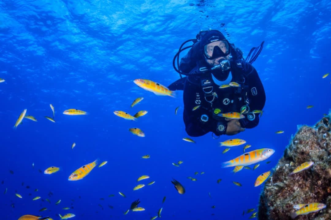 Guided Exploration Dives on the island of Santa Maria, Azores
