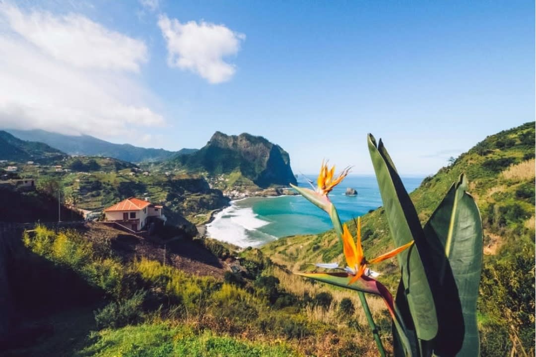 Madeira coastal landscape
