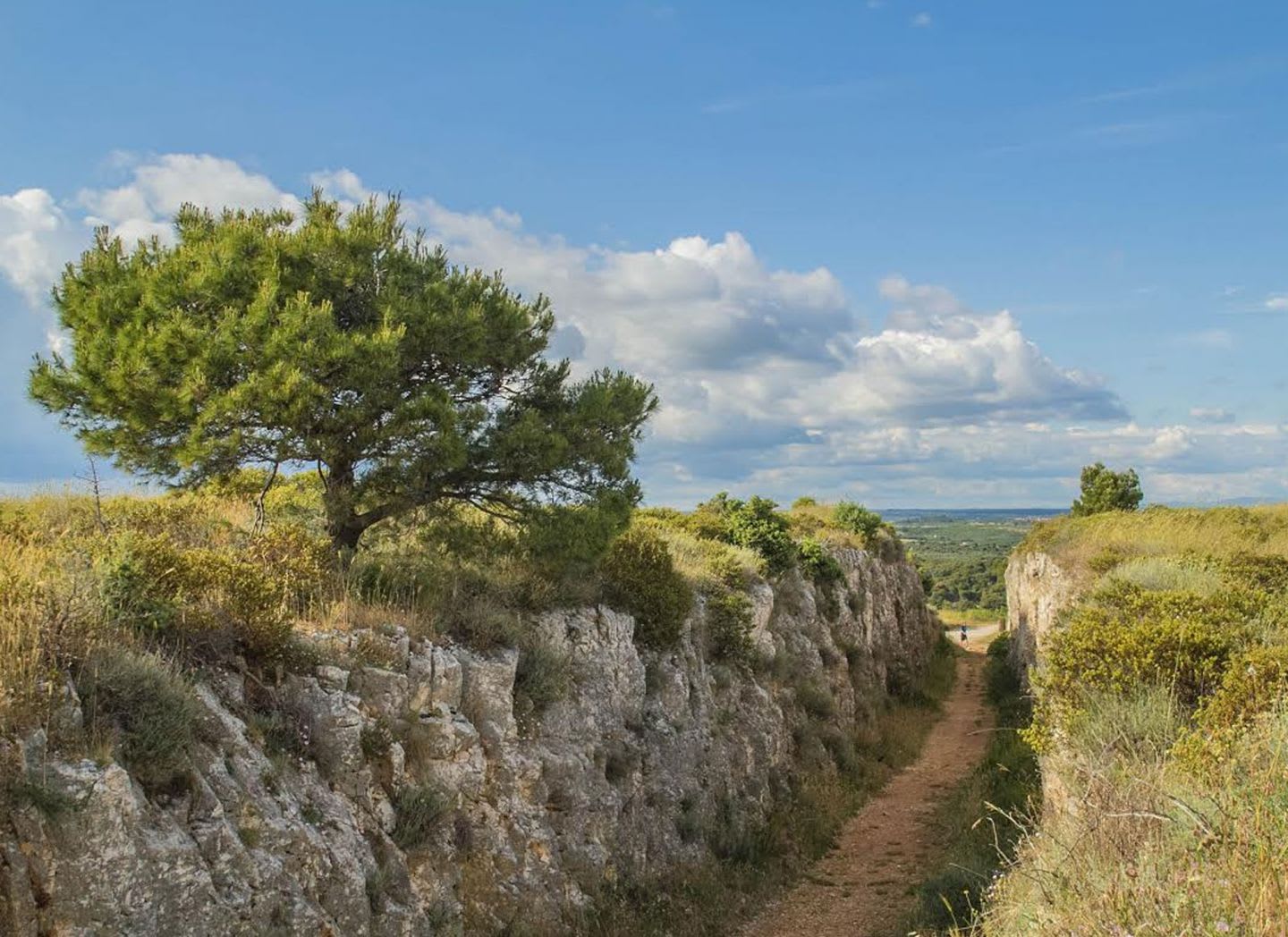 Visite el cabo Kamenjak