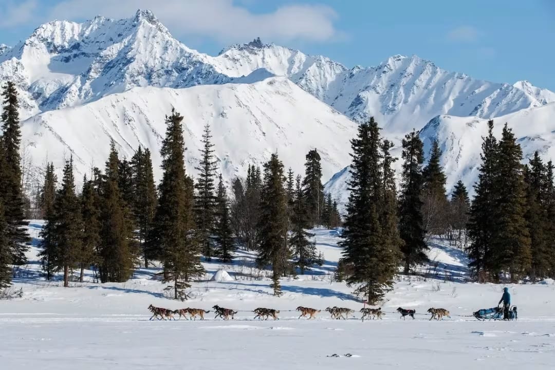 Paisaje de montaña con trineo tirado por perros en el Yukón, Canadá