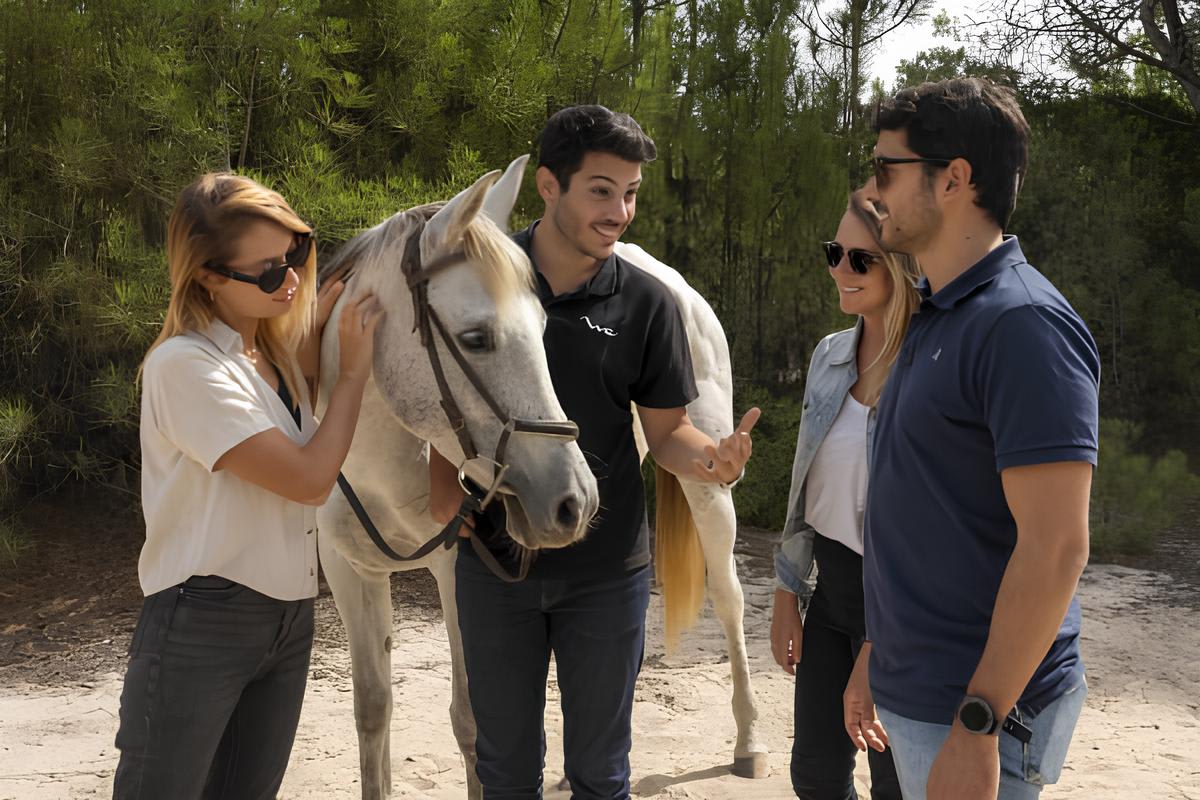 Guided tour of Setubal and horseback riding from Lisbon to the beaches of Comporta