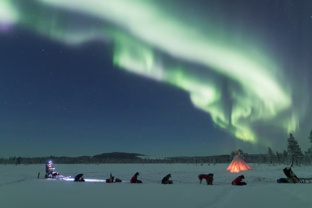 Perros de trineo bajo la aurora boreal en Kiruna