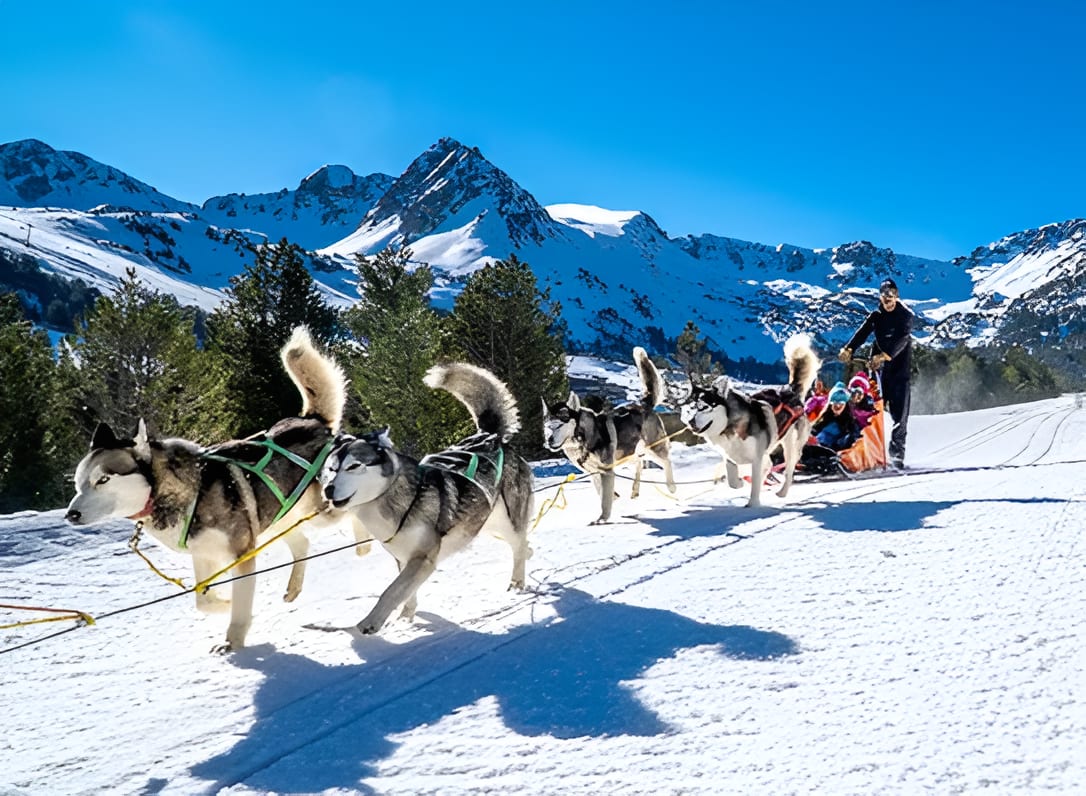 Dog sledding in Andorra