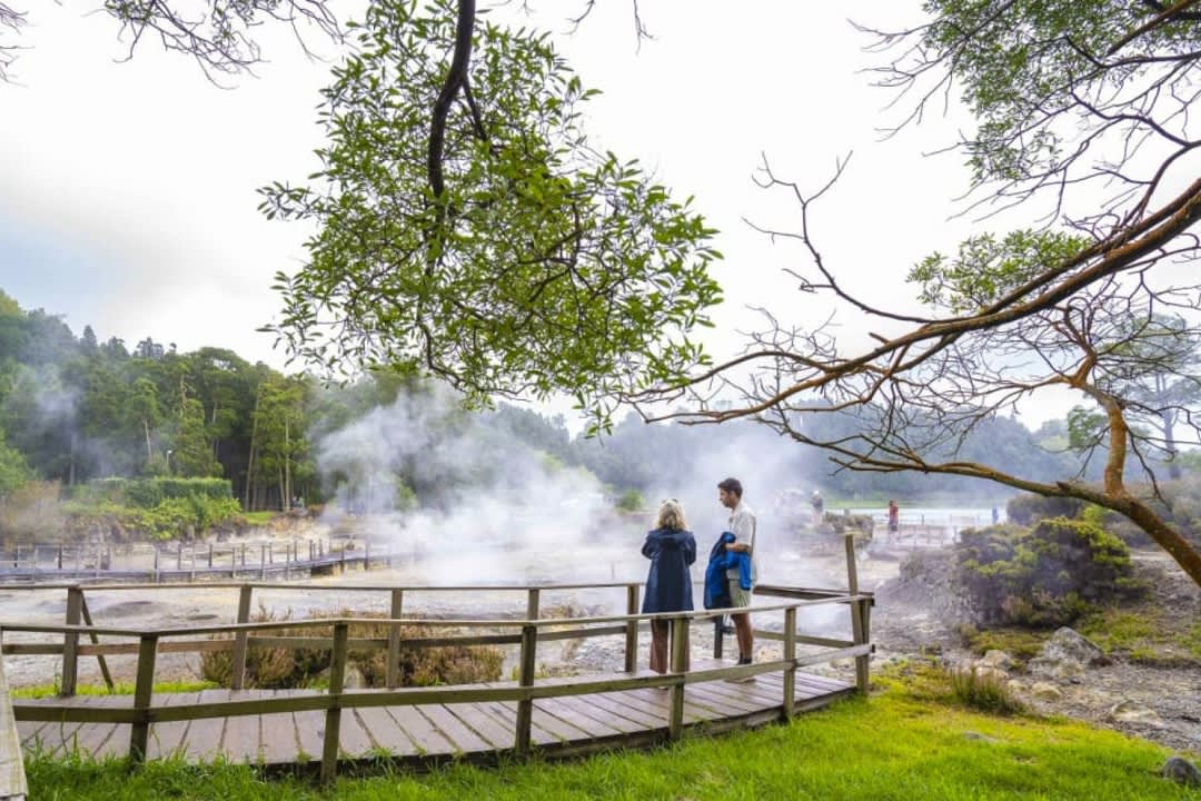 Private Guided Tour of the Furnas Valley and the Thermal Springs of Parque Terra Nostra in São Miguel, Azores