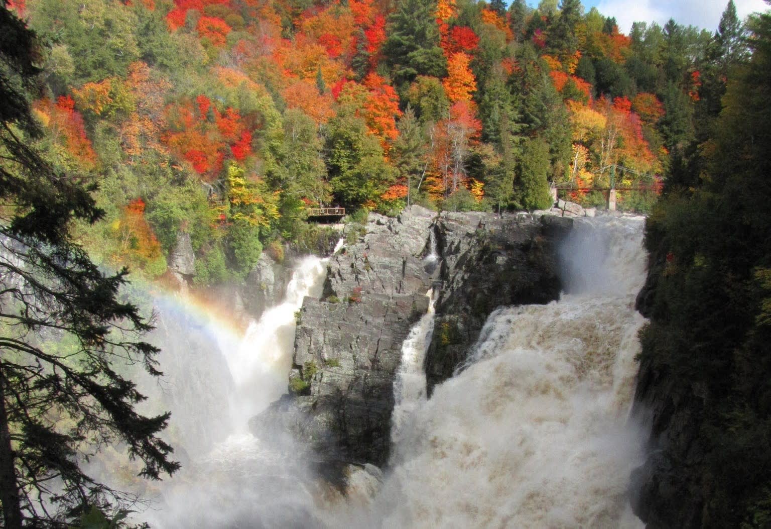 Waterfall and colorful forest